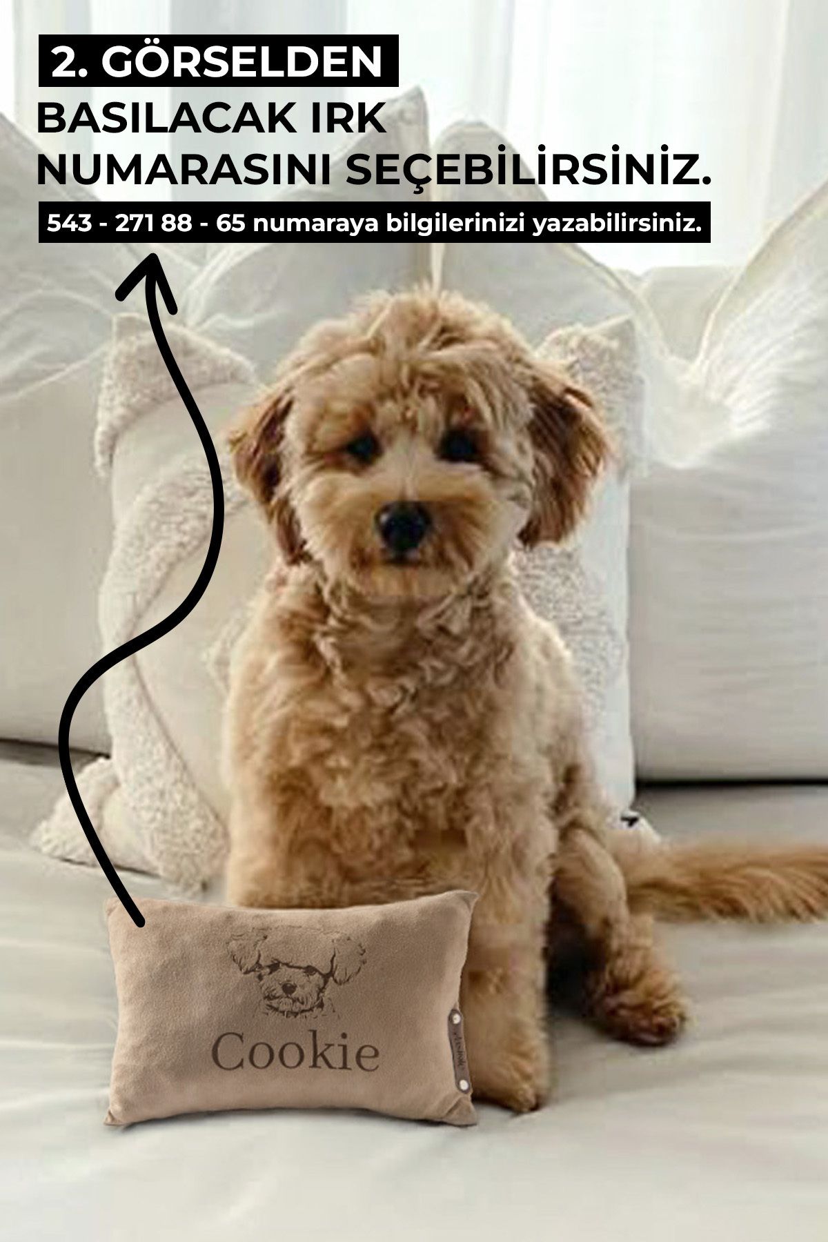 teknotrust Kişiye Özel Bej Köpek Uyku Yastığı, Baskılı ve Özel Kumaş Tasarımı