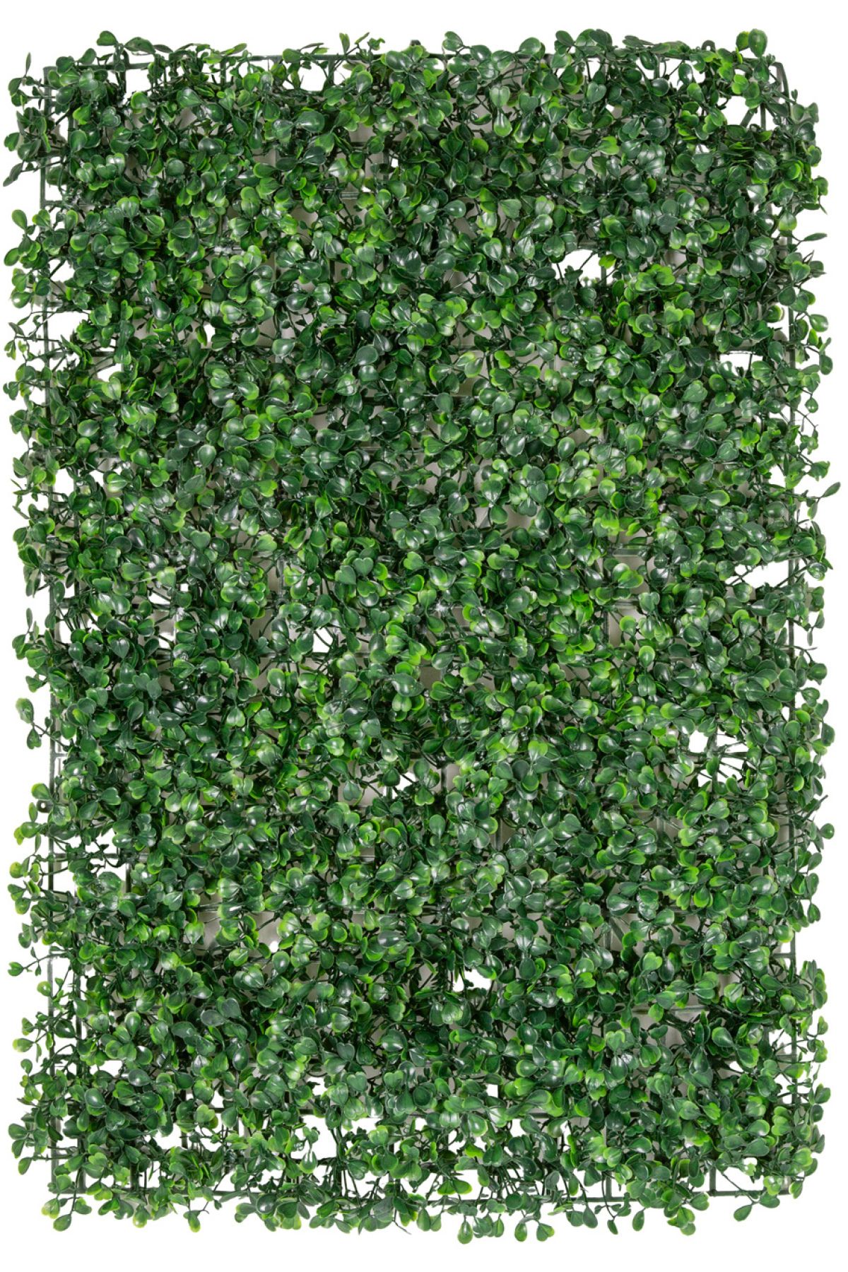 Elioure Yeşil Yapay Yonca Dekor Tabakası 40x60 cm, doğal görünüm, şık ve dayanıklı tasarım