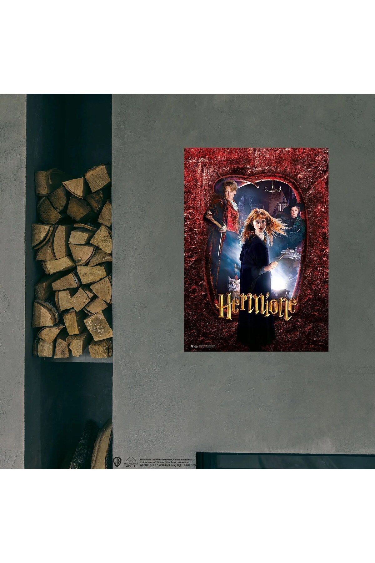 Warner Bross Hogwarts Karakter Model : Hermione Poster 50x70 cm