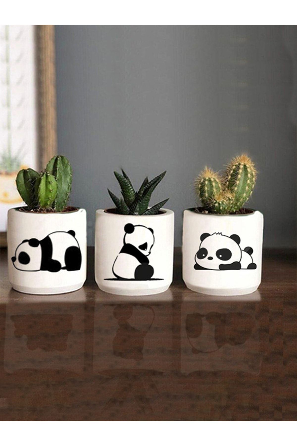 teknotrust Yorgun Panda Desenli Saksı Üçlü Set, Küçük Boy Sukulentler İçin Şık Tasarım