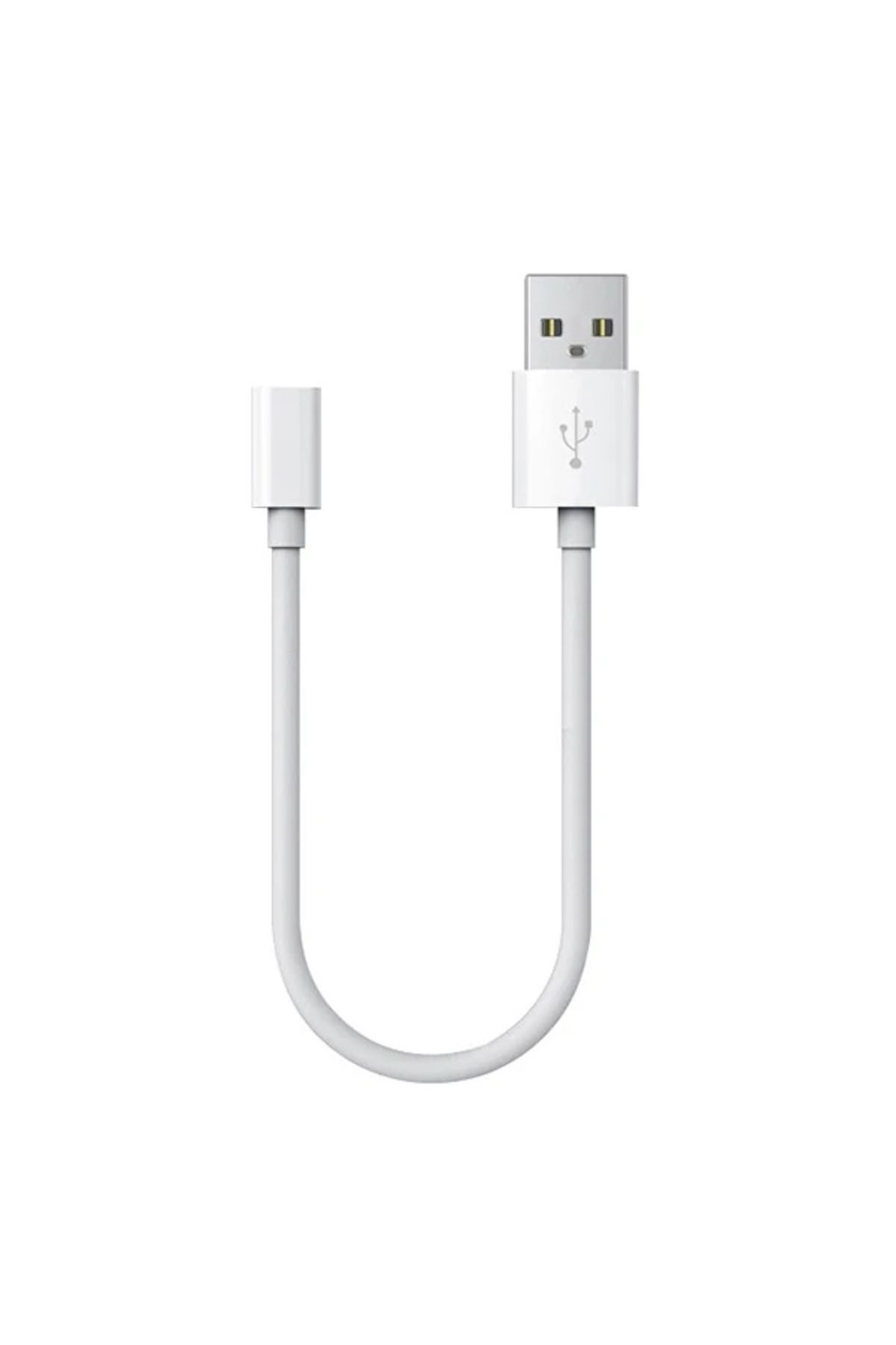 Lokal Marketing ALLY USB 2.0 Erkek -Type C 3.1 Dişi Kablo Huawei FreeLace usb Şarj Kablosu-(5775) - LKM8721-8635