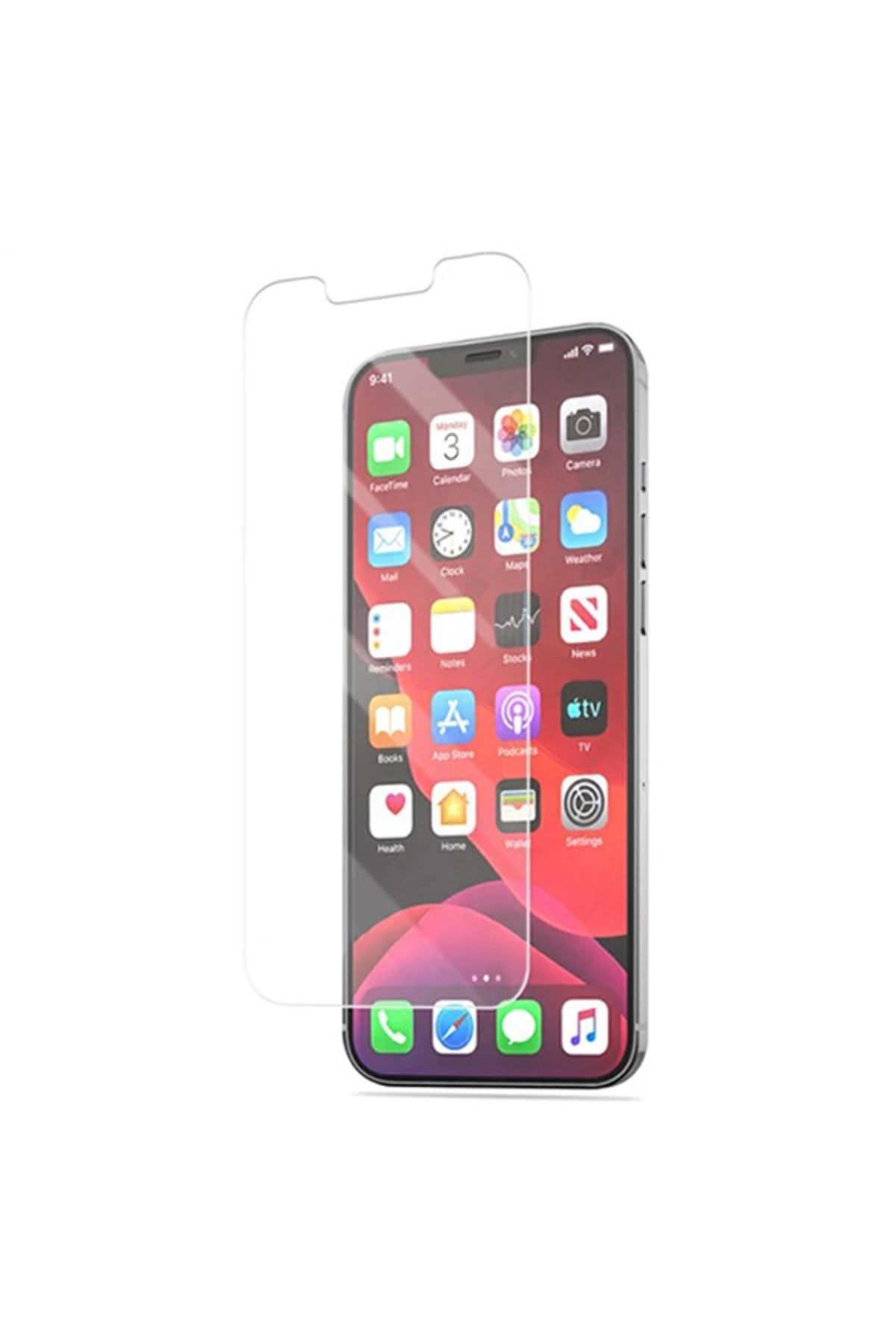 Marsilyan ALLY İPhone 12 Pro Max 6.7 Matte HD Tempered Cam Ekran Koruyucu-(5775) - MCT6995-7140