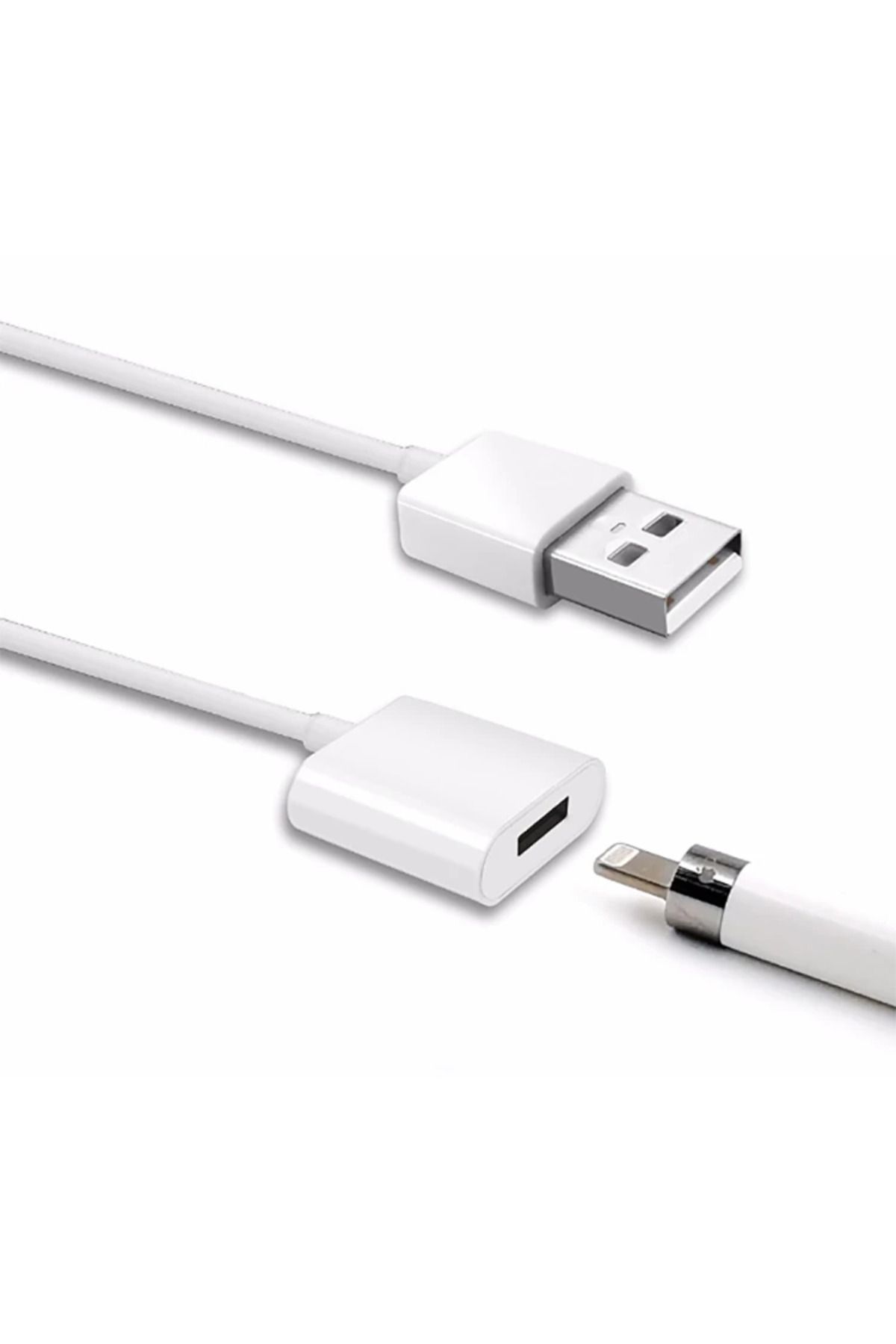 Marsilyan Ally Apple Pencil/kalem İçin Usb Şarj Kablosu 1 metre-(5775) - MCT7416-8755