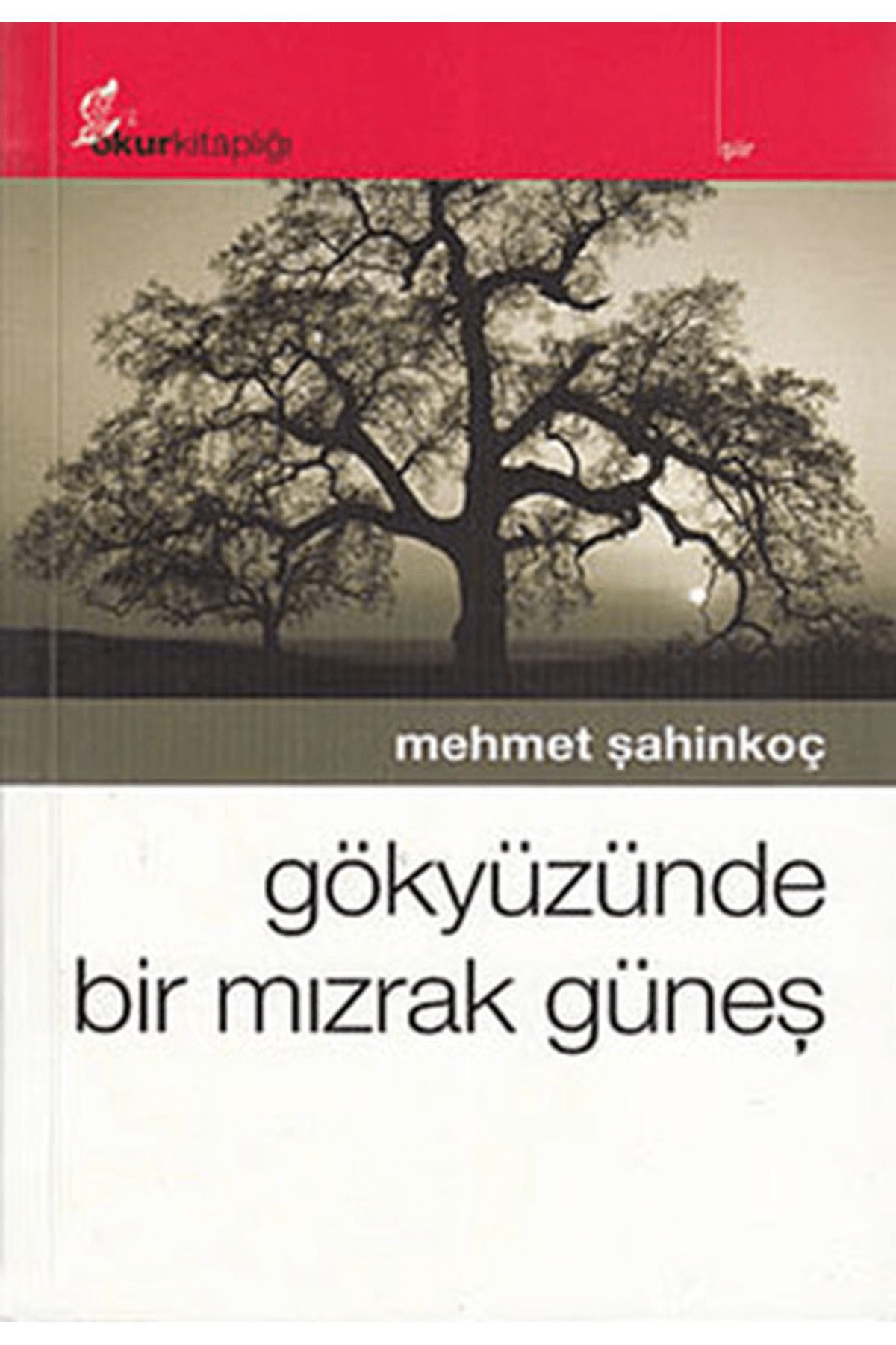 Okur Kitaplığı Gökyüzünde Bir Mızrak Güneş