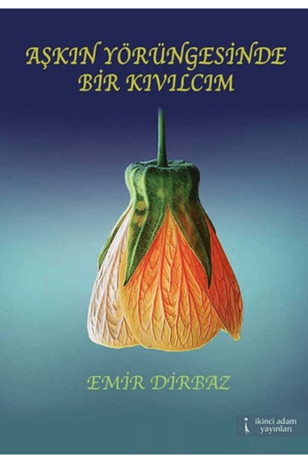 İkinci Adam Yayınları Aşkın Yörüngesinde Bir Kıvılcım