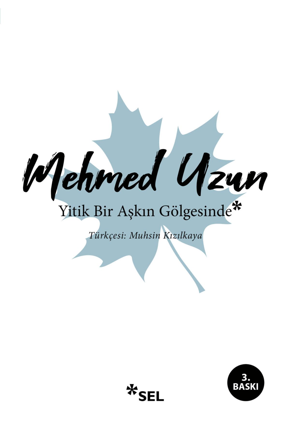 Sel Yayıncılık Yitik Bir Aşkın Gölgesinde