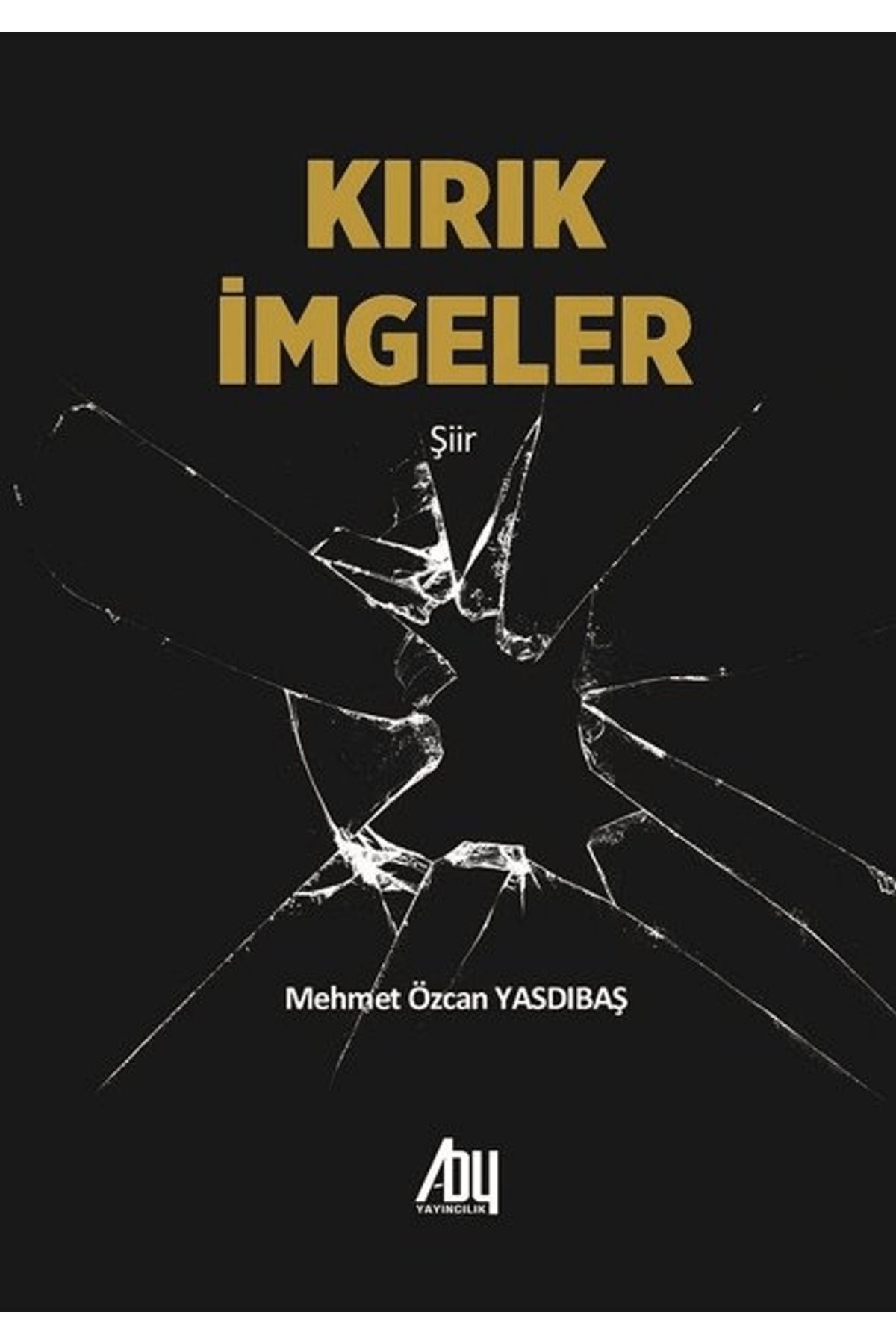Baygenç Yayıncılık Kırık İmgeler