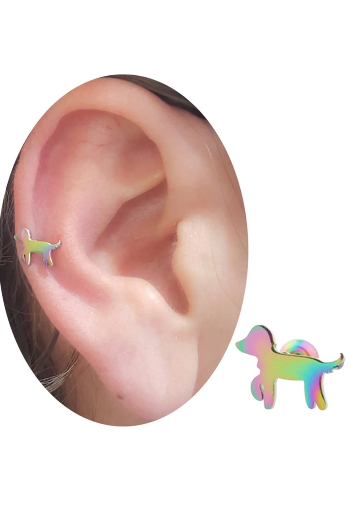 Cadının Dükkanı Çelik Köpek Gökkuşağı Tragus Helix Kıkırdak Piercing