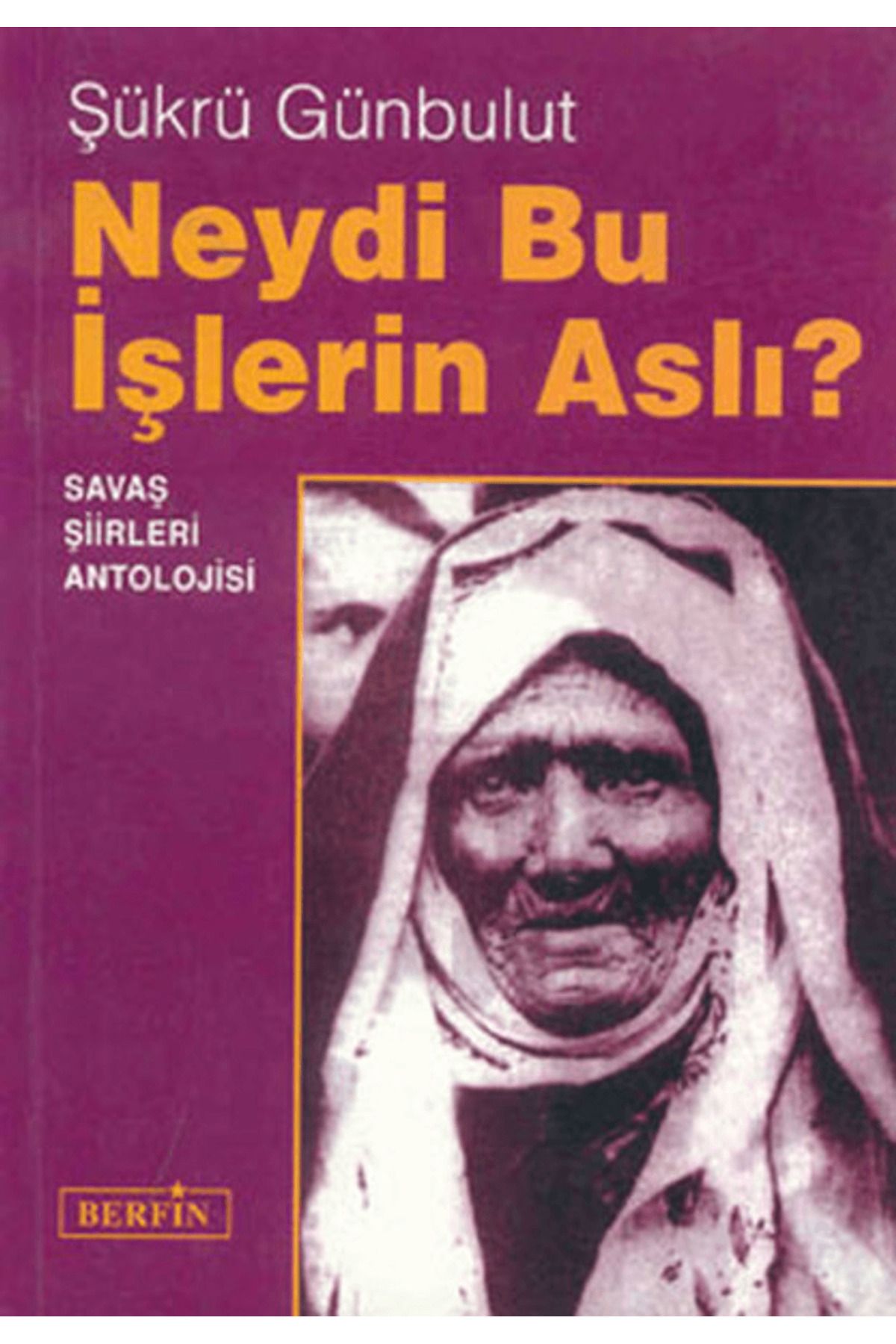 Berfin Yayınları Neydi Bu İşlerin Aslı?