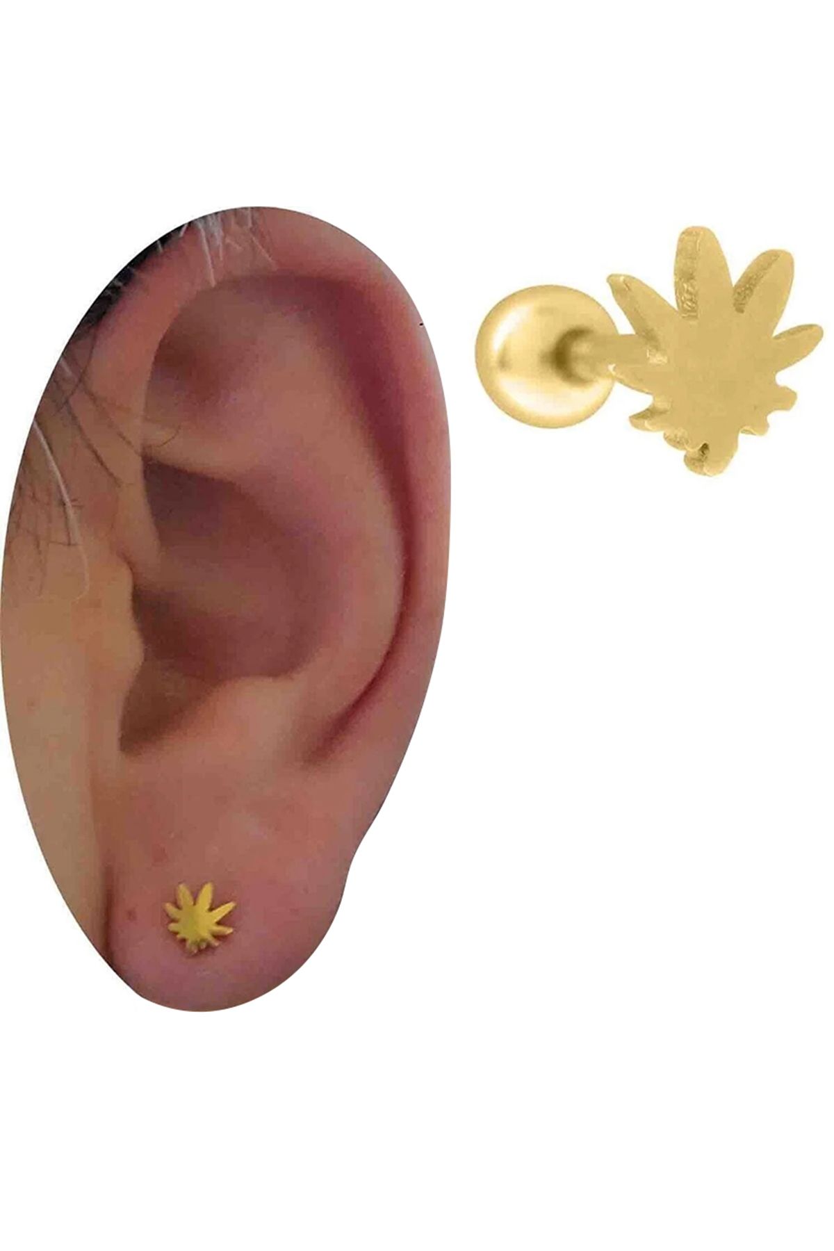 Cadının Dükkanı Çelik Yaprak Gold Tragus Helix Kıkırdak Piercing