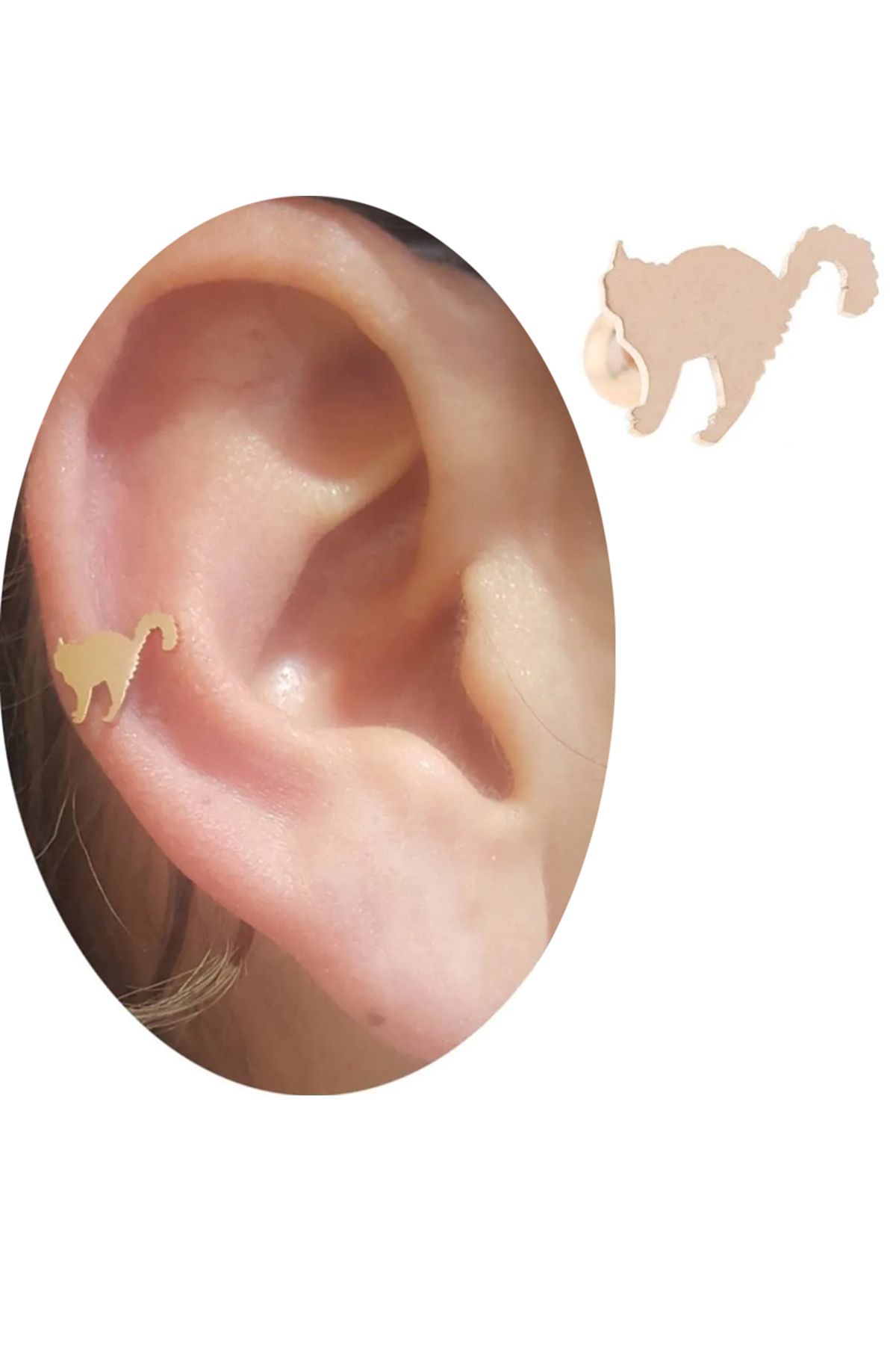 Cadının Dükkanı Çelik Kedi Rose Tragus Helix Kıkırdak Piercing