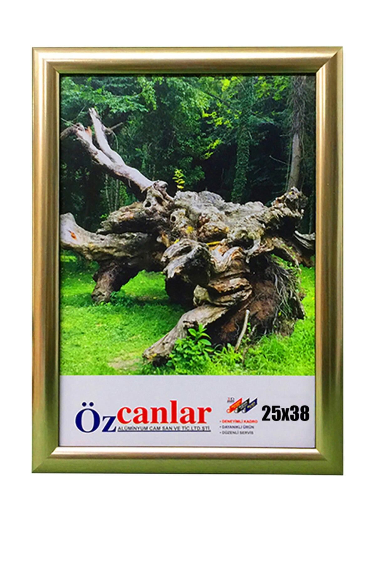 Elioure Kişiye Özel Masaüstü Resim Çerçevesi 25x38, Ev ve Ofis İçin Şık Hediyelik