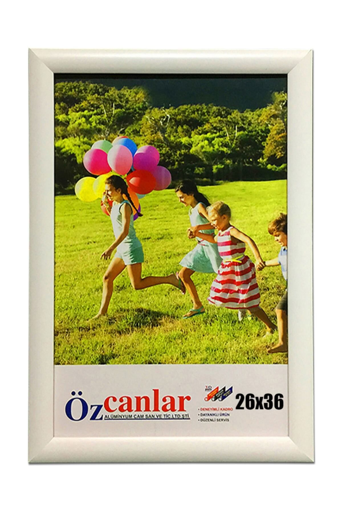 Elioure Kişiye Özel Çerçeve Ev ve Ofis İçin 26x36 Masaüstü Resimlik