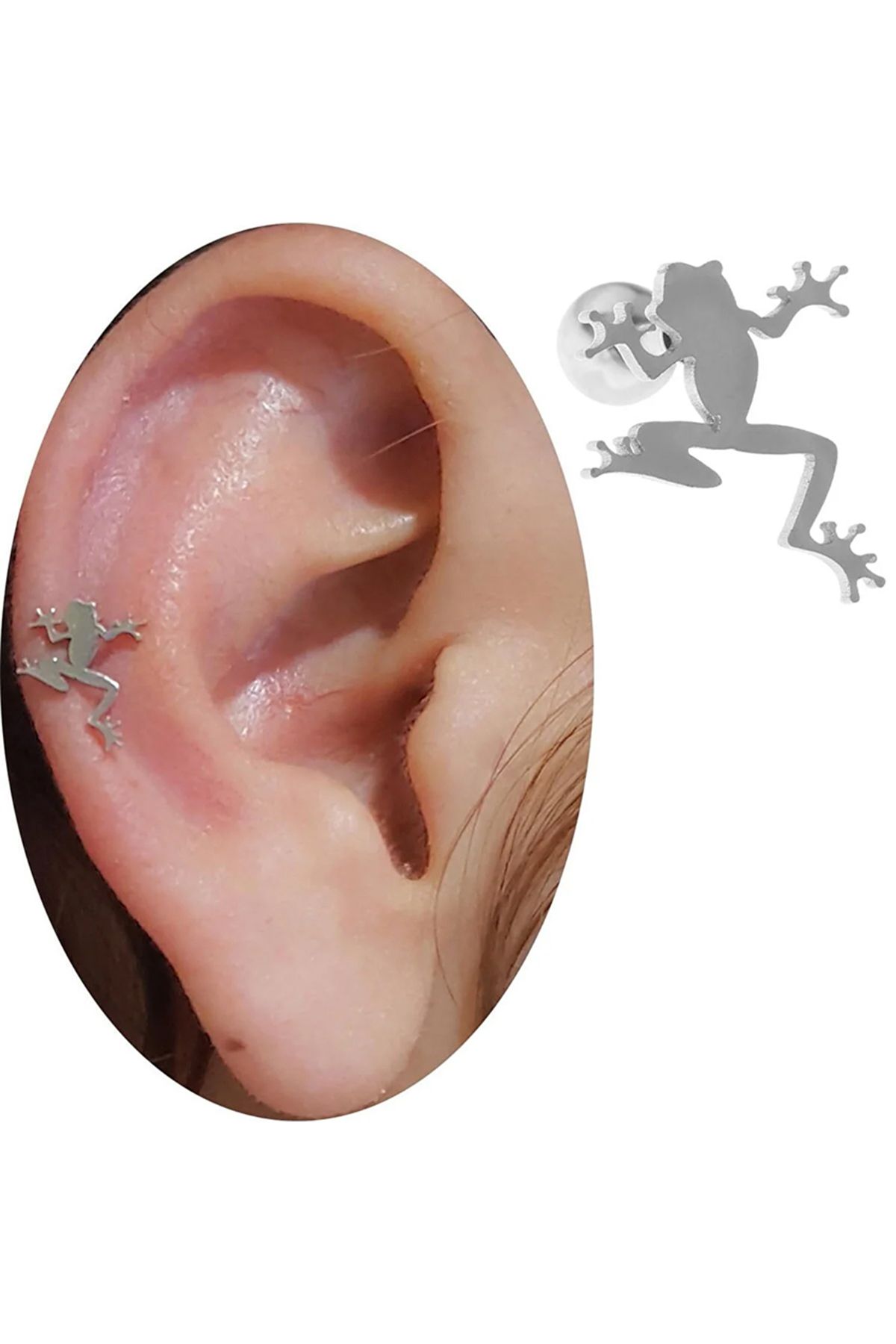 Cadının Dükkanı Çelik Kurbağa Tragus Helix Kıkırdak Piercing