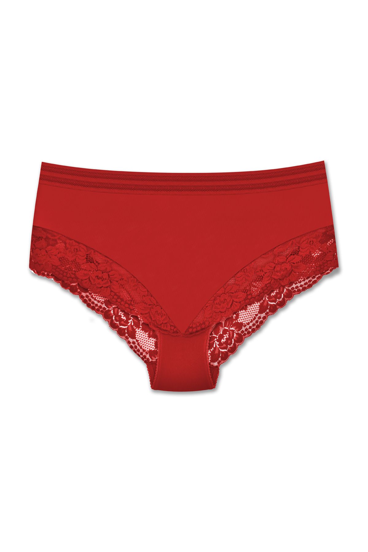 ZENA UNDERWEAR Tül ve Dantel Detaylı Lastikli Yüksek Bel Büyük Beden Kadın Külot
