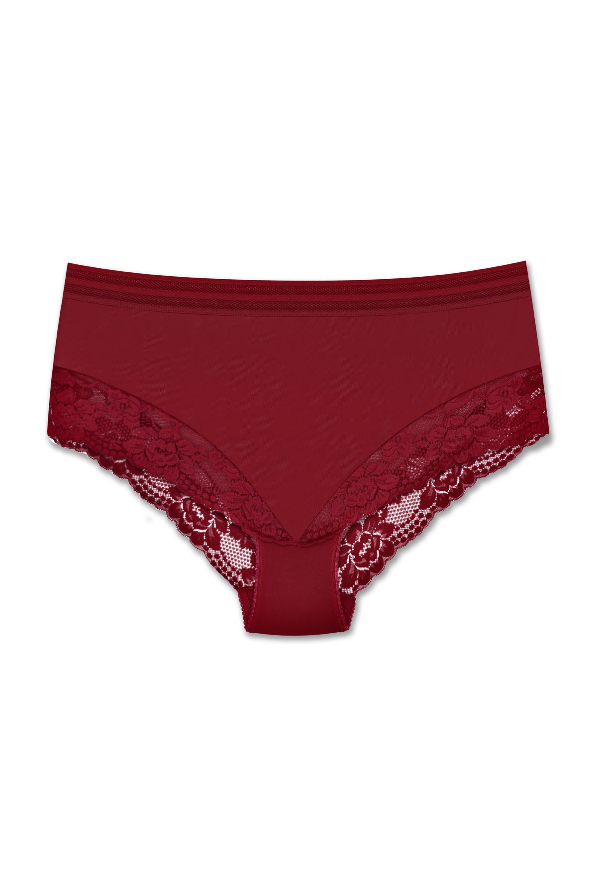 ZENA UNDERWEAR Tül ve Dantel Detaylı Lastikli Yüksek Bel Büyük Beden Kadın Külot