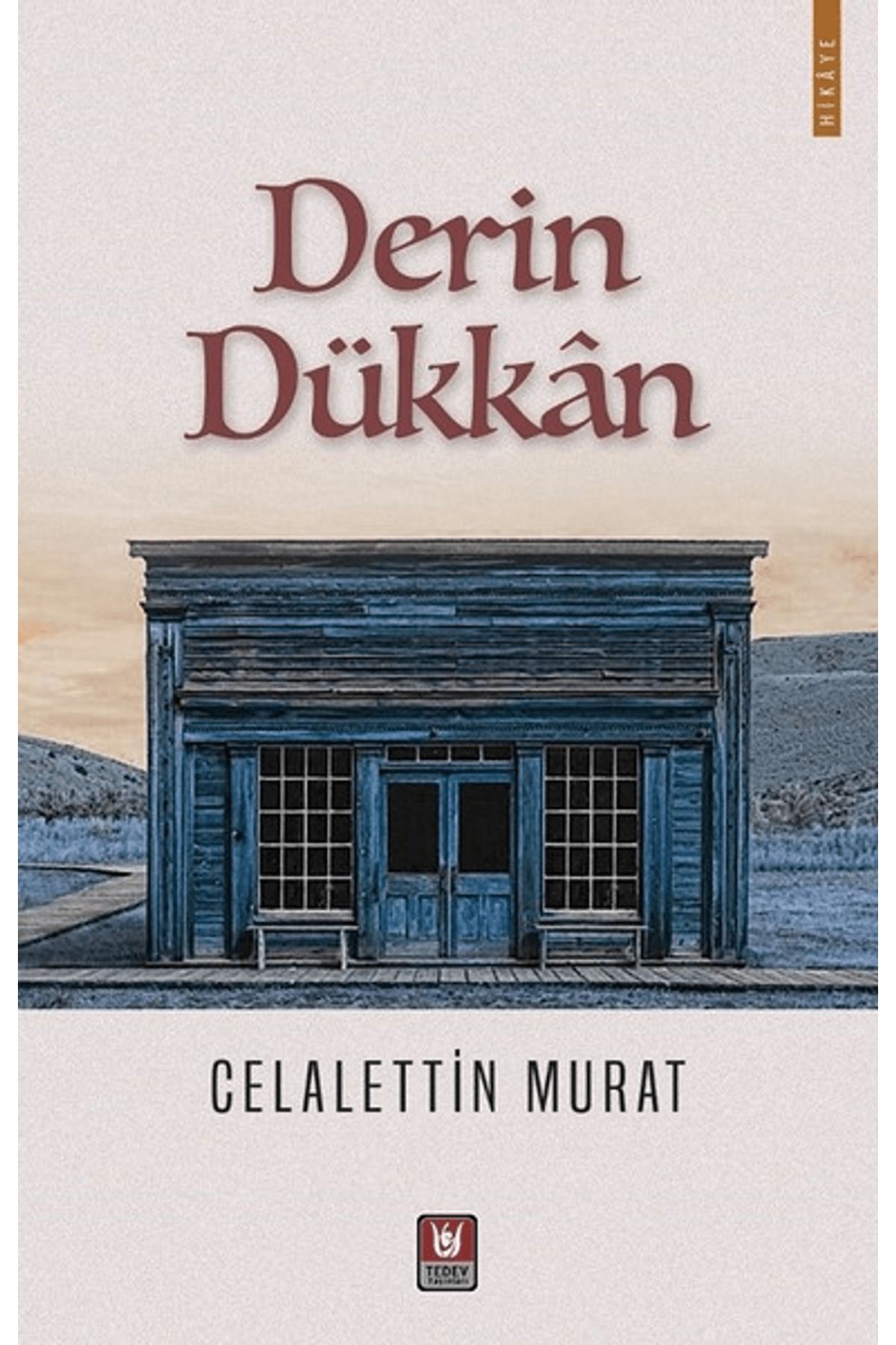 Tedev Yayınları Derin Dükkan