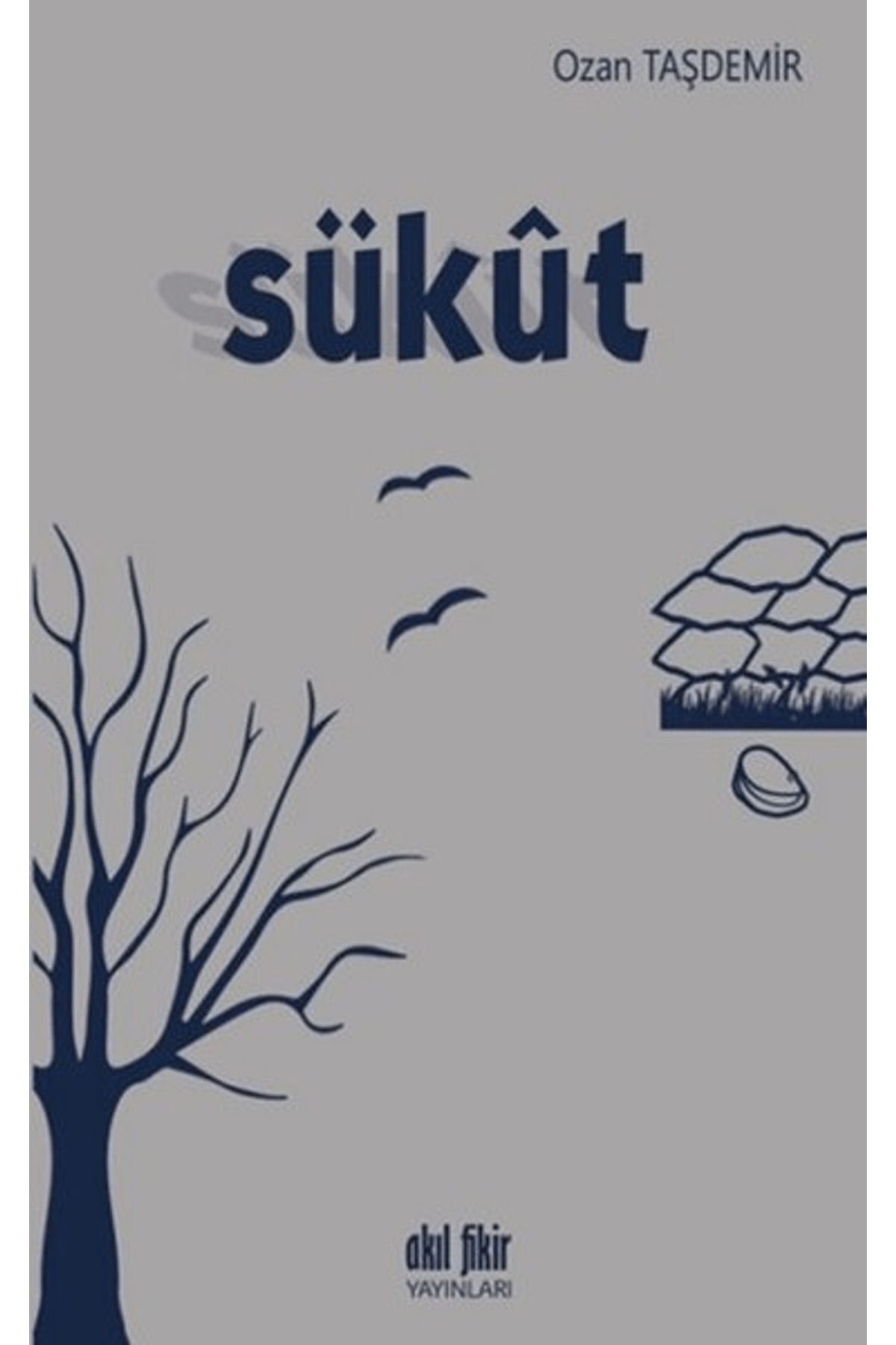 Akıl Fikir Yayınları Sükut