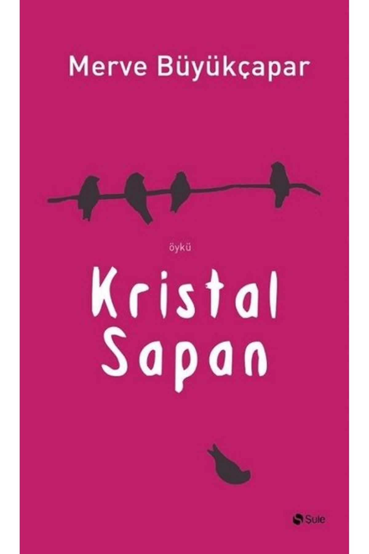 Şule Yayınları Kristal Sapan