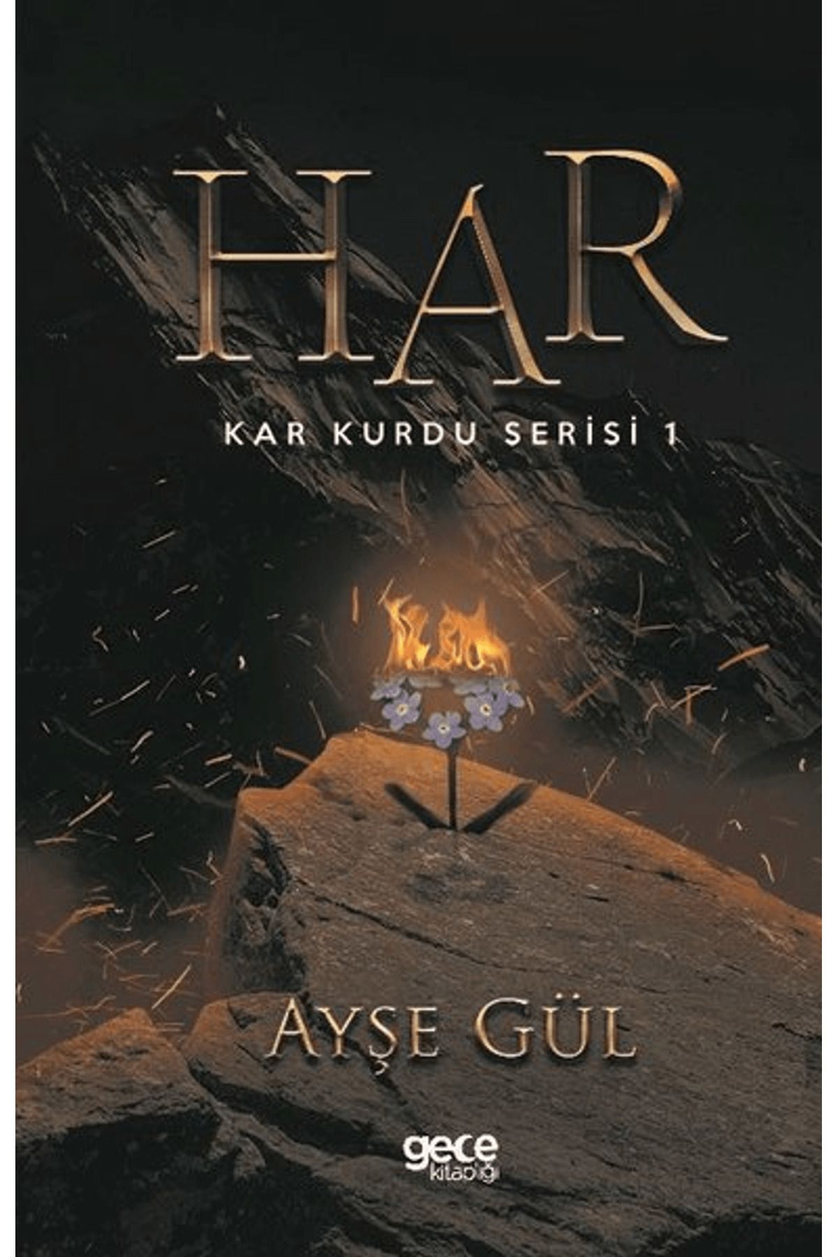 Gece Kitaplığı Har Roman