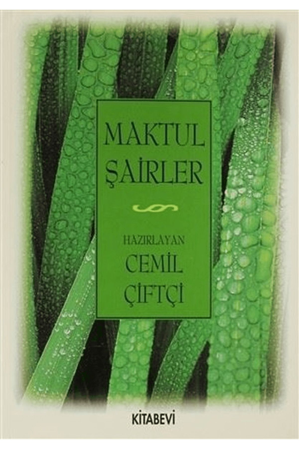 Kitabevi Yayınları Maktul Şairler