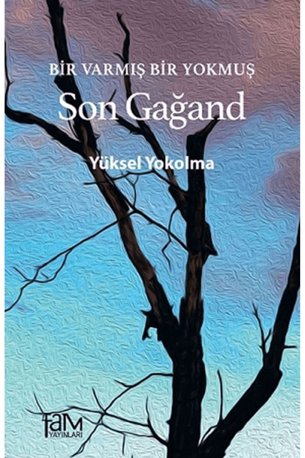 Fam Yayınları Bir Varmış Bir Yokmuş - Son Gağand