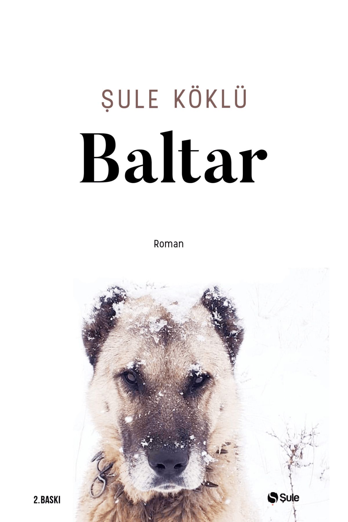 Şule Yayınları Baltar