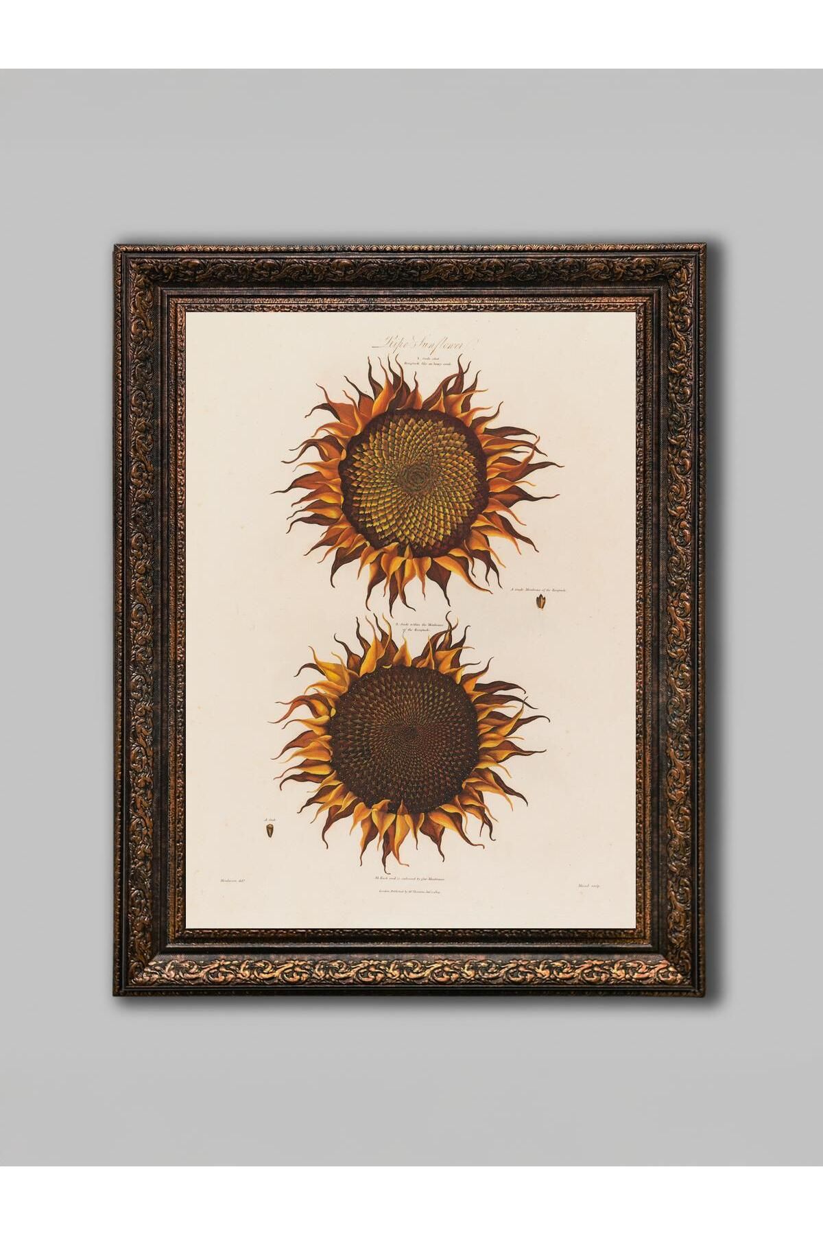 WoodyArts Ayçiçekleri Yapısı - Bronz Eskitme Çerçeve