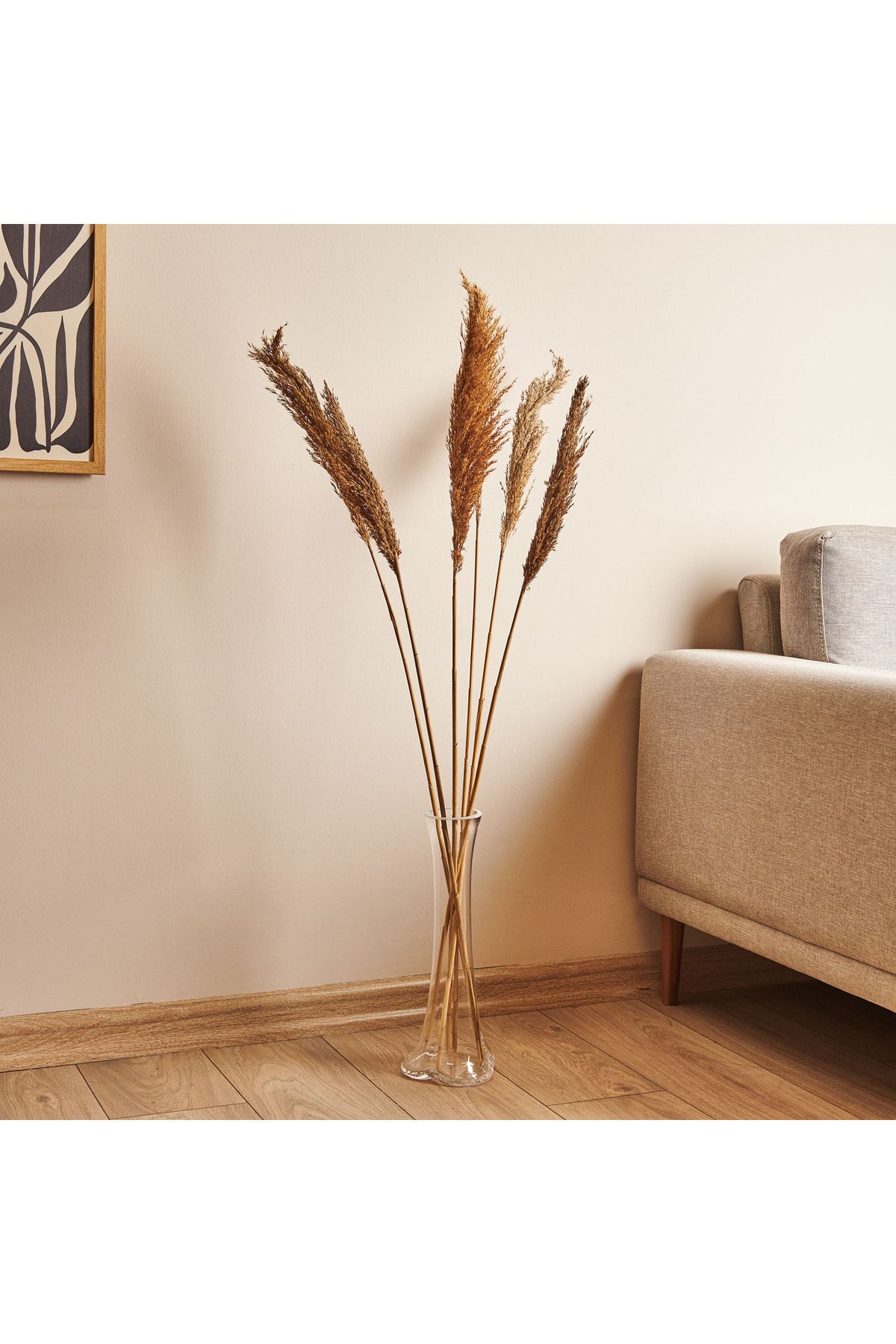 Elioure Şeffaf Cam Vazo, Fil Ayağı Tasarımı, Dekoratif, 40 cm