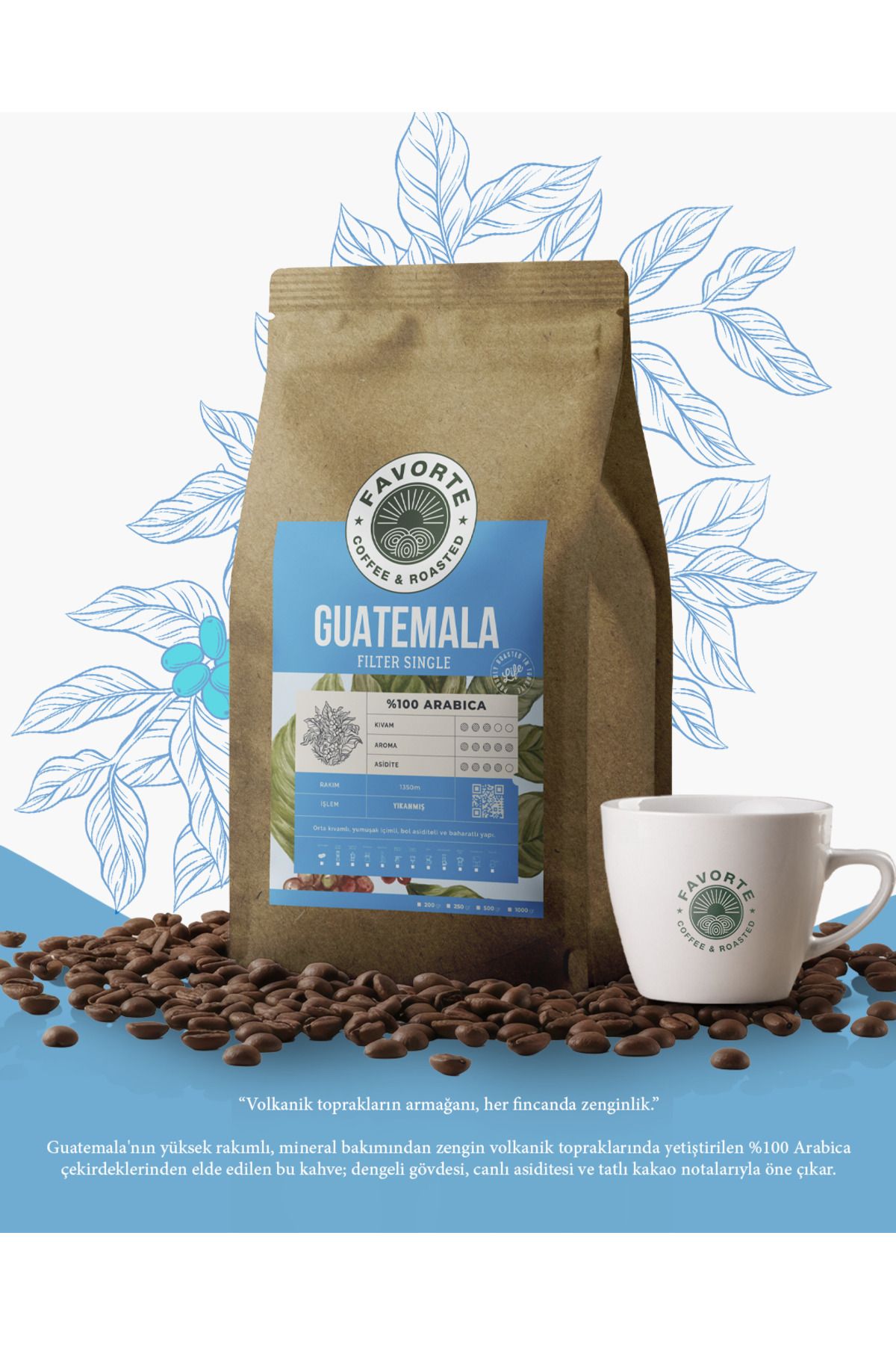 FAVORTE COFFEE & ROASTED 1 KG Orijinal Guatemala Filtre Kahve %100 Arabica Çekirdeği | Favorte 1KG Filtre Kahve Çekirdeği