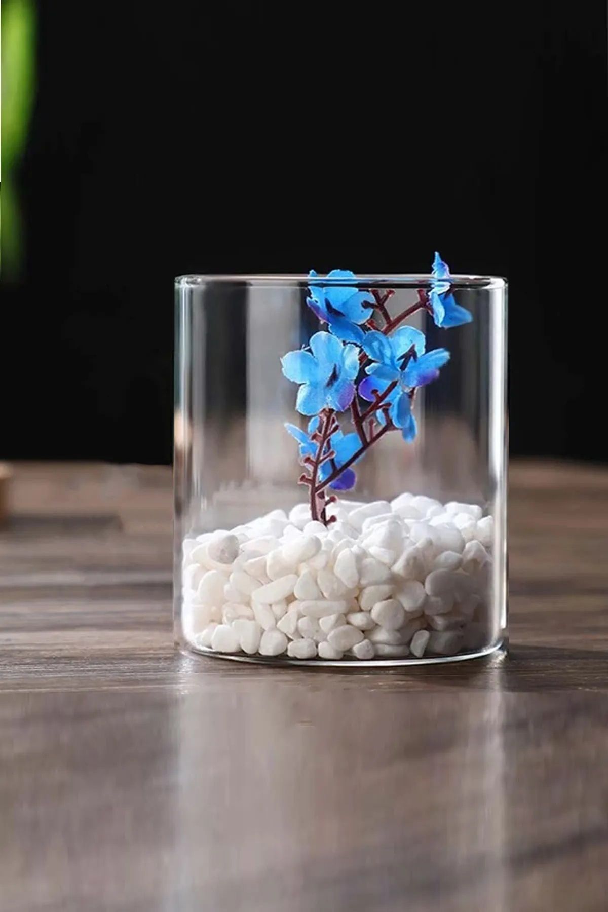 Elioure Şeffaf Silindir Masaüstü Cam Vazo ve Saksı Mumluk 10x14 cm