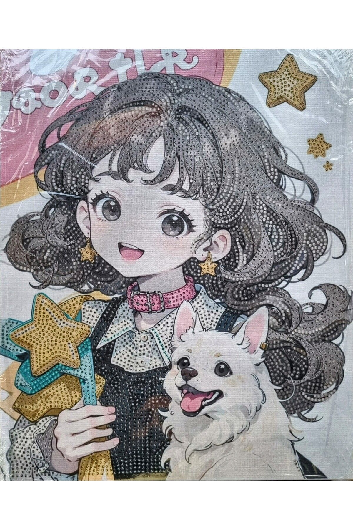 Hobiline 5d Elmas Taş Işleme Kiti 27 x 33 cm Anime Kız Desen