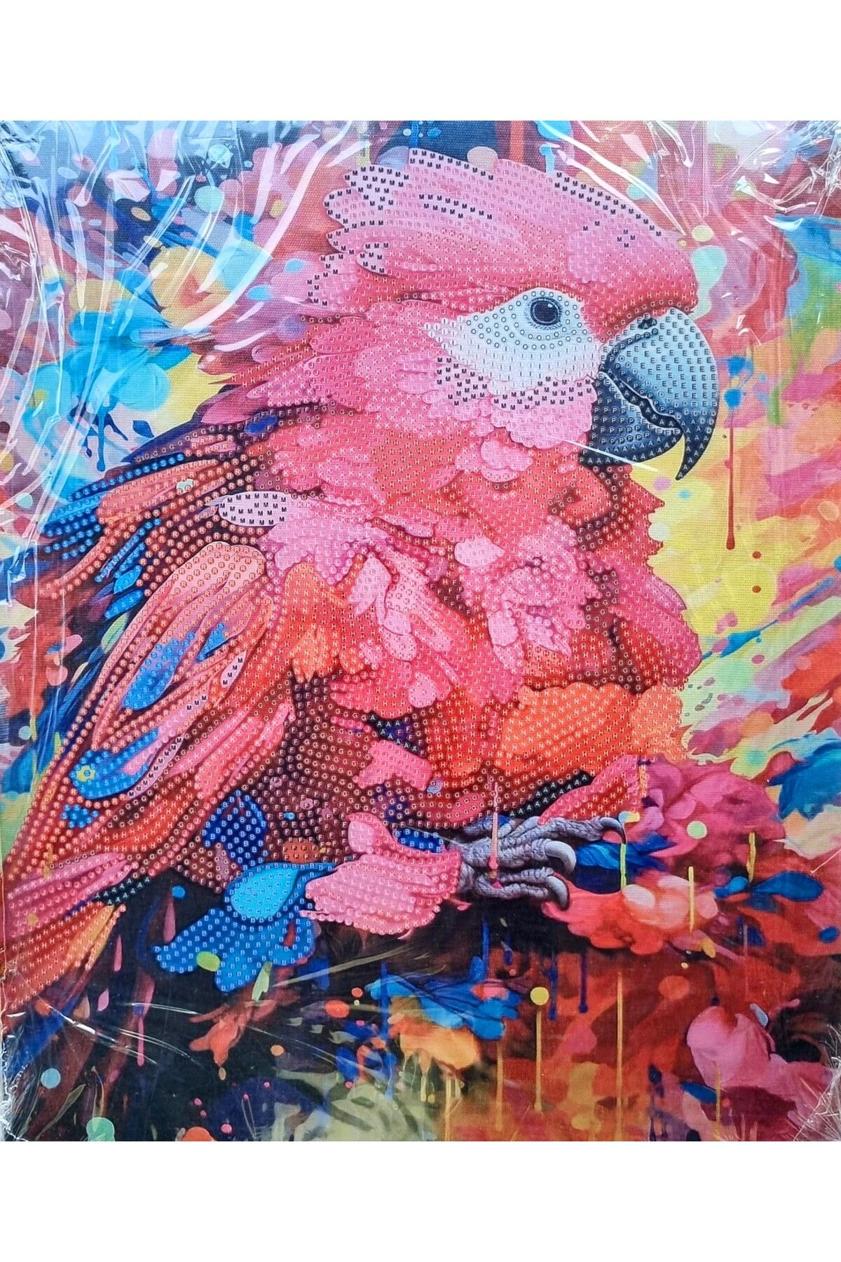 Hobiline 5d Elmas Taş Işleme Kiti 27 x 33 cm Anime Kız Desen