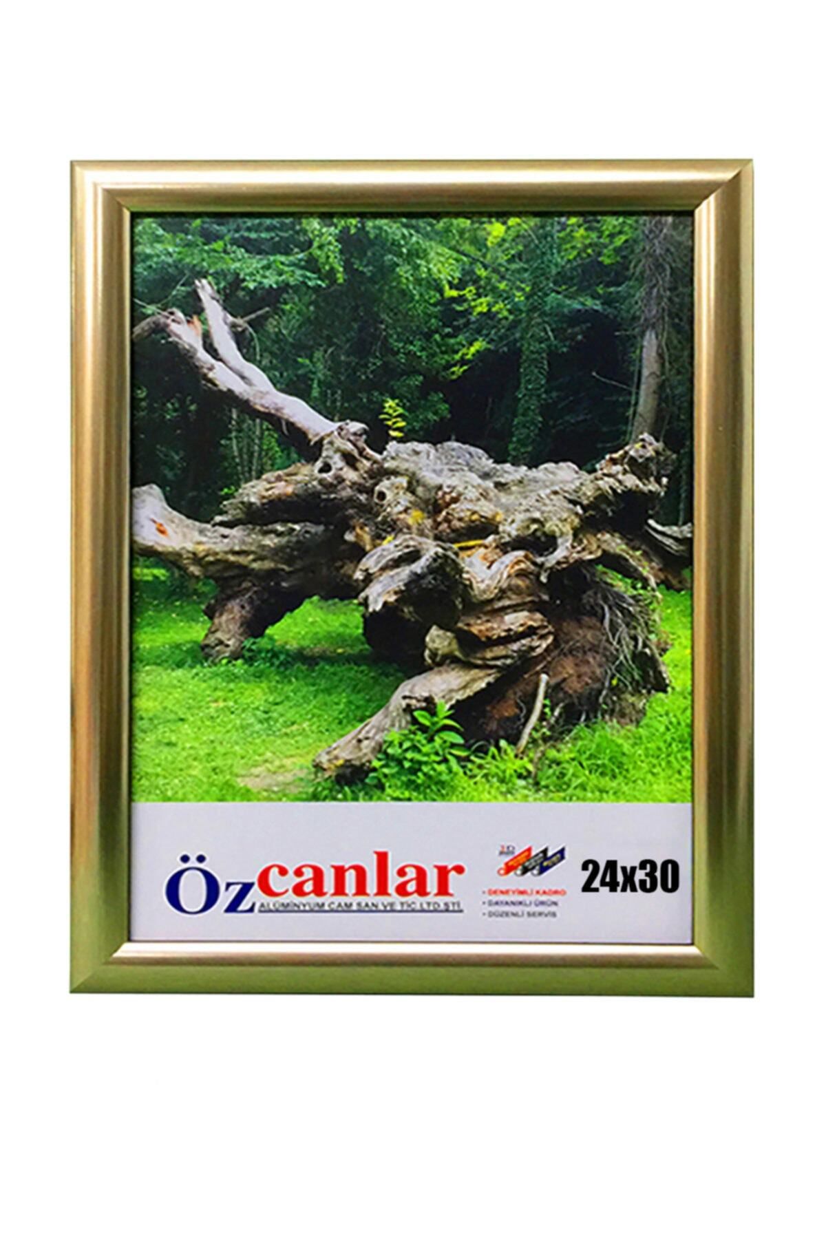 Elioure Kişiye Özel 24x30 Ev ve Ofis İçin Şık Resim Çerçevesi