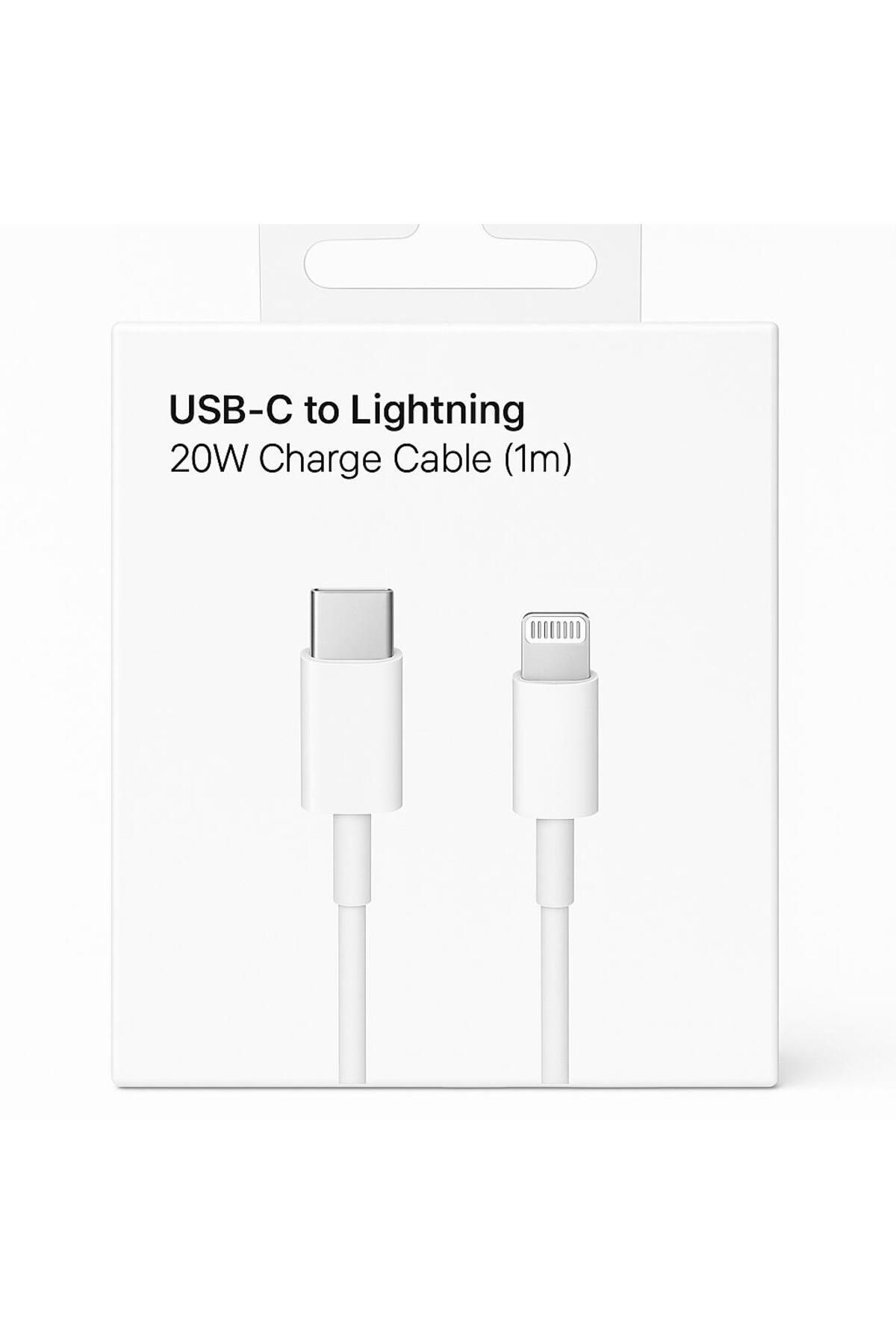 Type-C USB-C Lightning