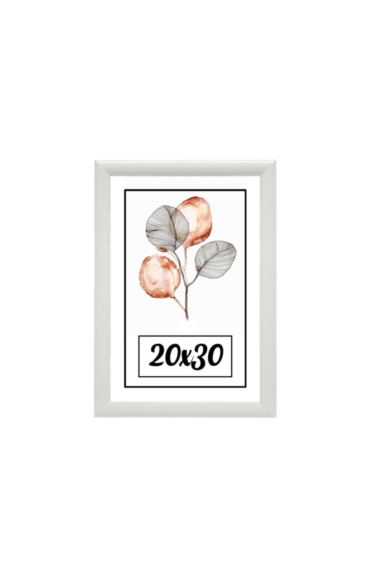 Elioure Beyaz 20x30 cm Resim Çerçevesi Şık ve Zarif Dekoratif Tasarım