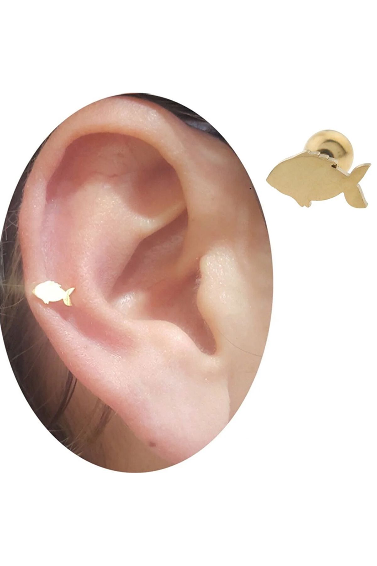 Cadının Dükkanı Çelik Gold Balık Tragus Helix Kıkırdak Piercing