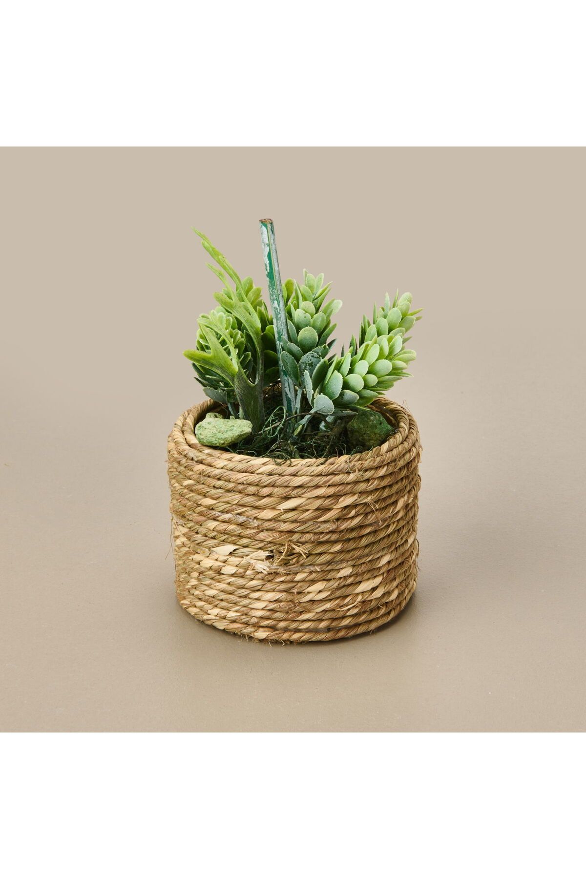 ASPARTAM Natürel Çiçek - Asorti - 15 cm