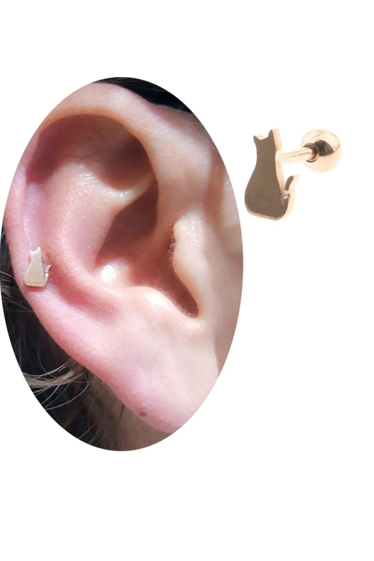 Cadının Dükkanı Çelik Rose Kedi Tragus Helix Kıkırdak Piercing