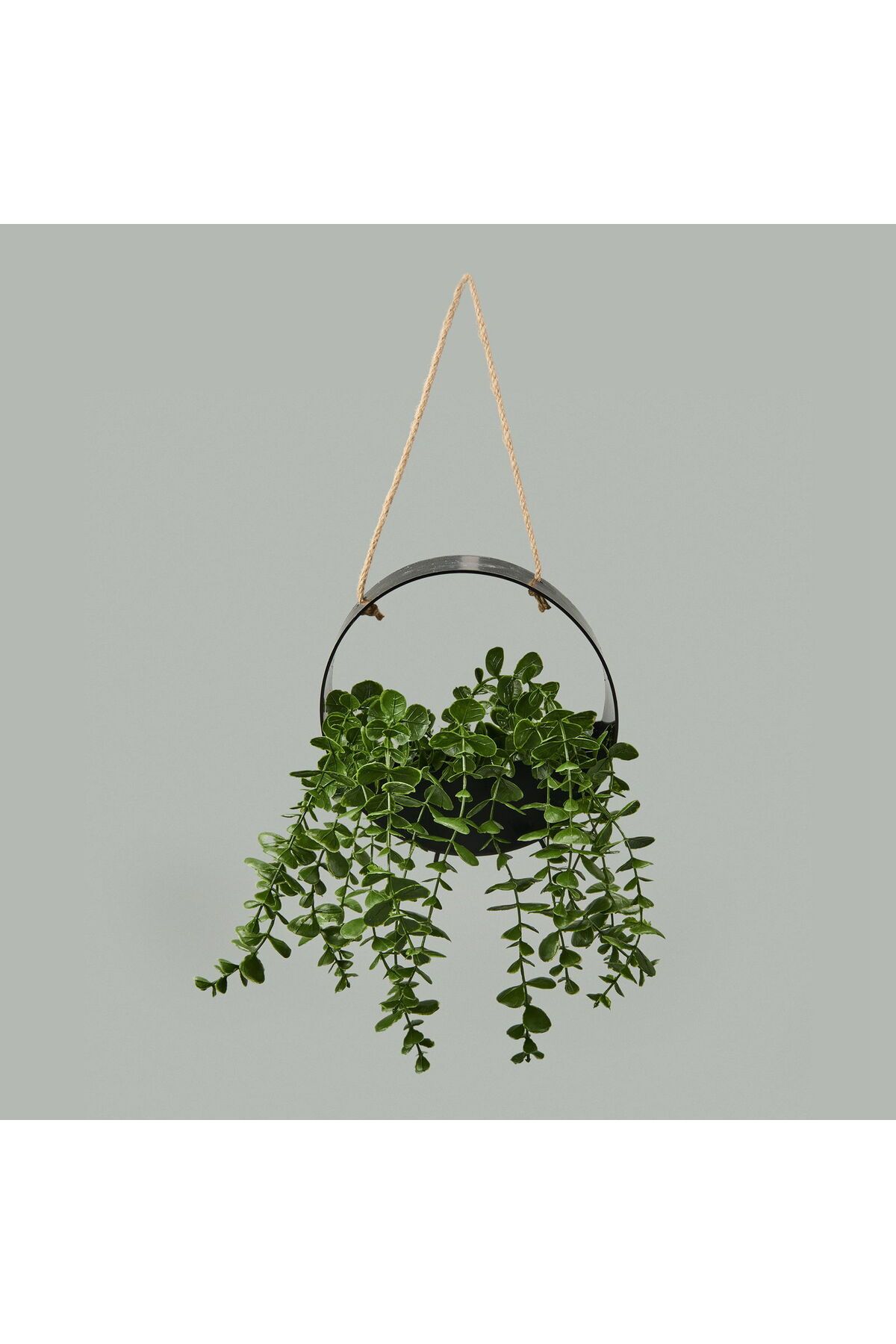 ASPARTAM Dekor Yapay Okaliptus - Asorti - 50x20 cm
