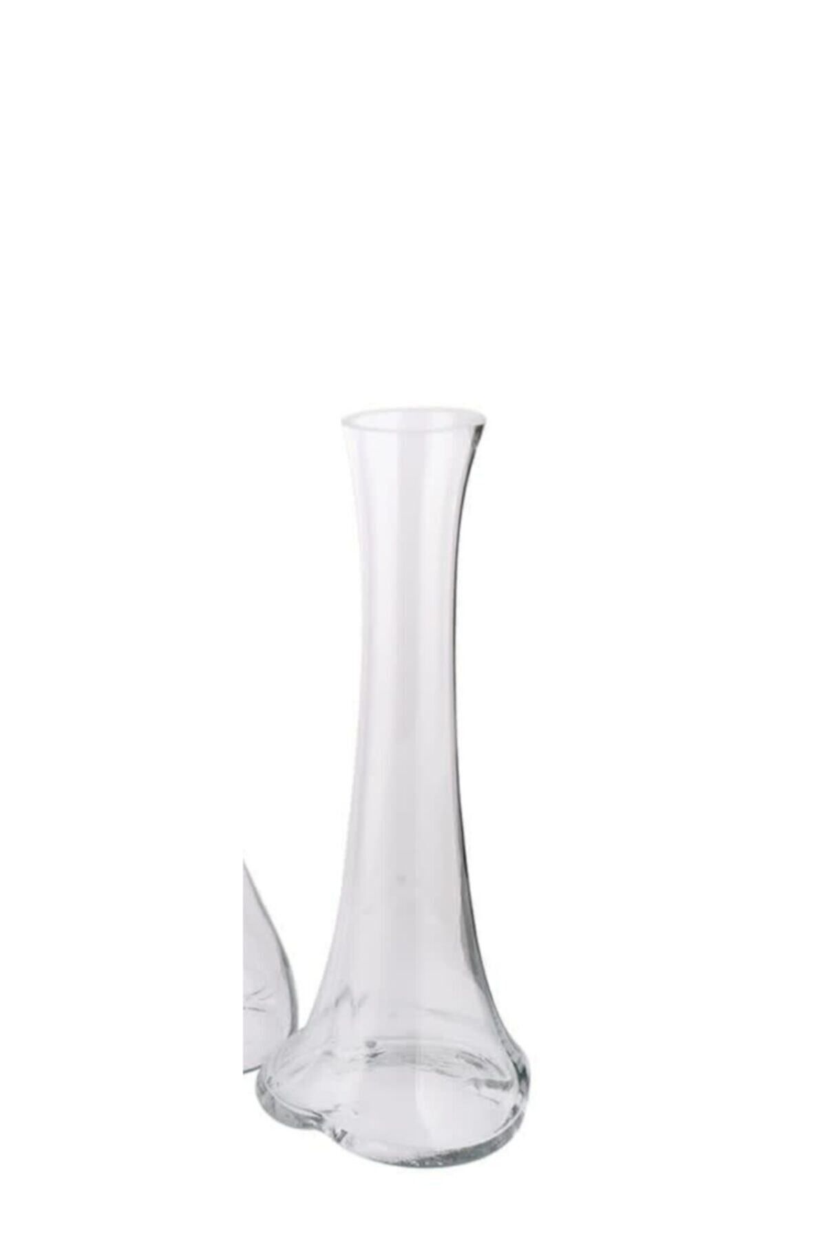 Elioure 40 cm şeffaf fil ayağı vazo, şık ve modern dekoratif obje