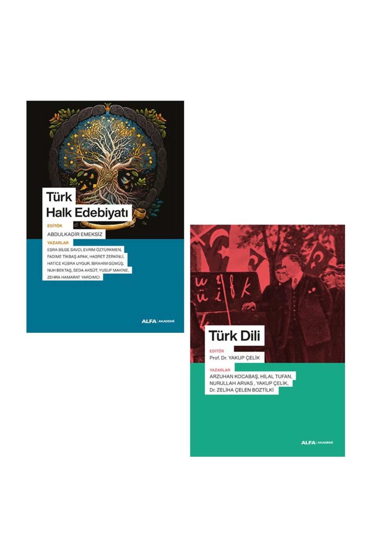 Alfa Yayınları Türk Halk Edebiyatı - Türk Dili - 2 Kitap