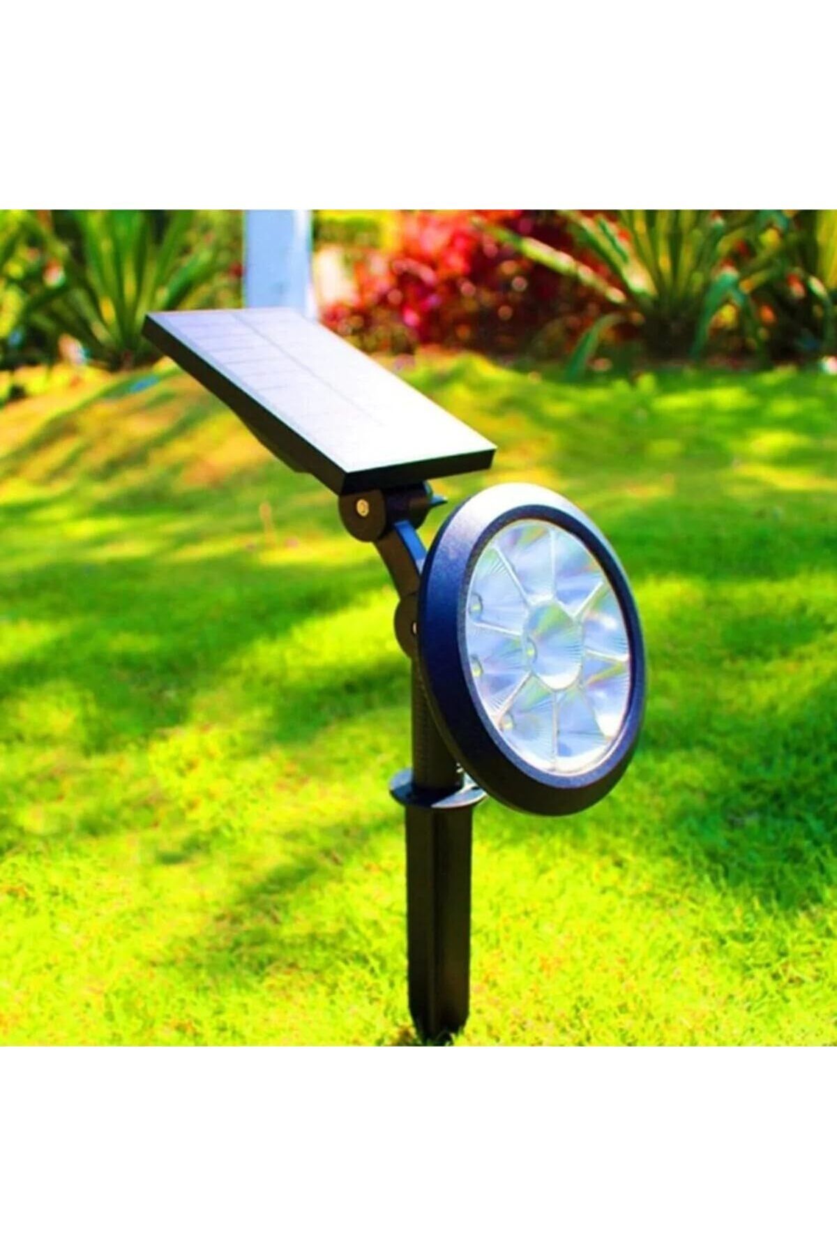 mazıdağı where Led Solar Kazıklı Çim Armatür Cata Güneş Enerjili Led Işık Çim Lambası Bahçe Ağaç