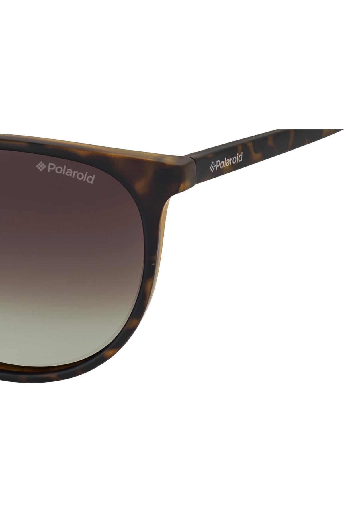 Polaroid-Ochelari de soare pentru femei POLAROID PLD 6003/N/S V08LA, Plastic, Havana, 54 mm 3