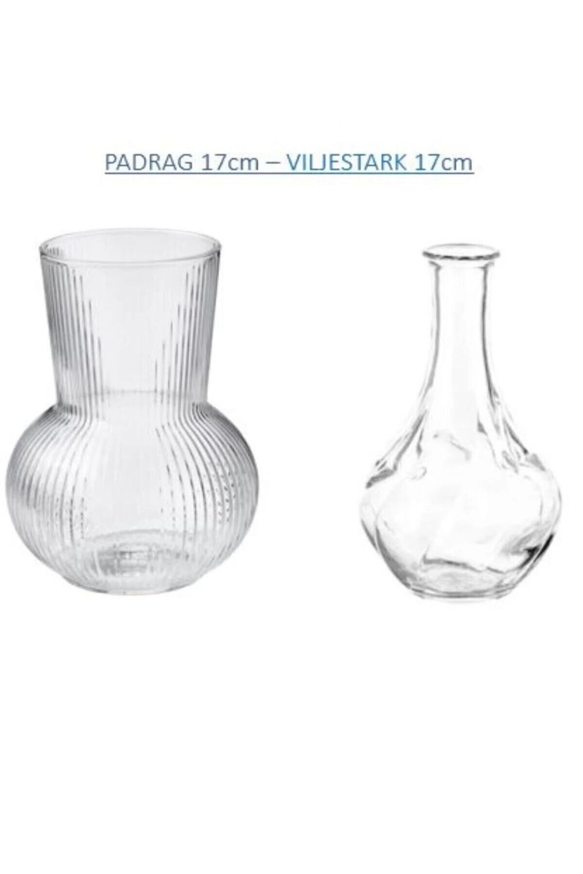 Elioure Şeffaf cam vazo seti, 17 cm, dekoratif ve şık tasarım, 2'li paket