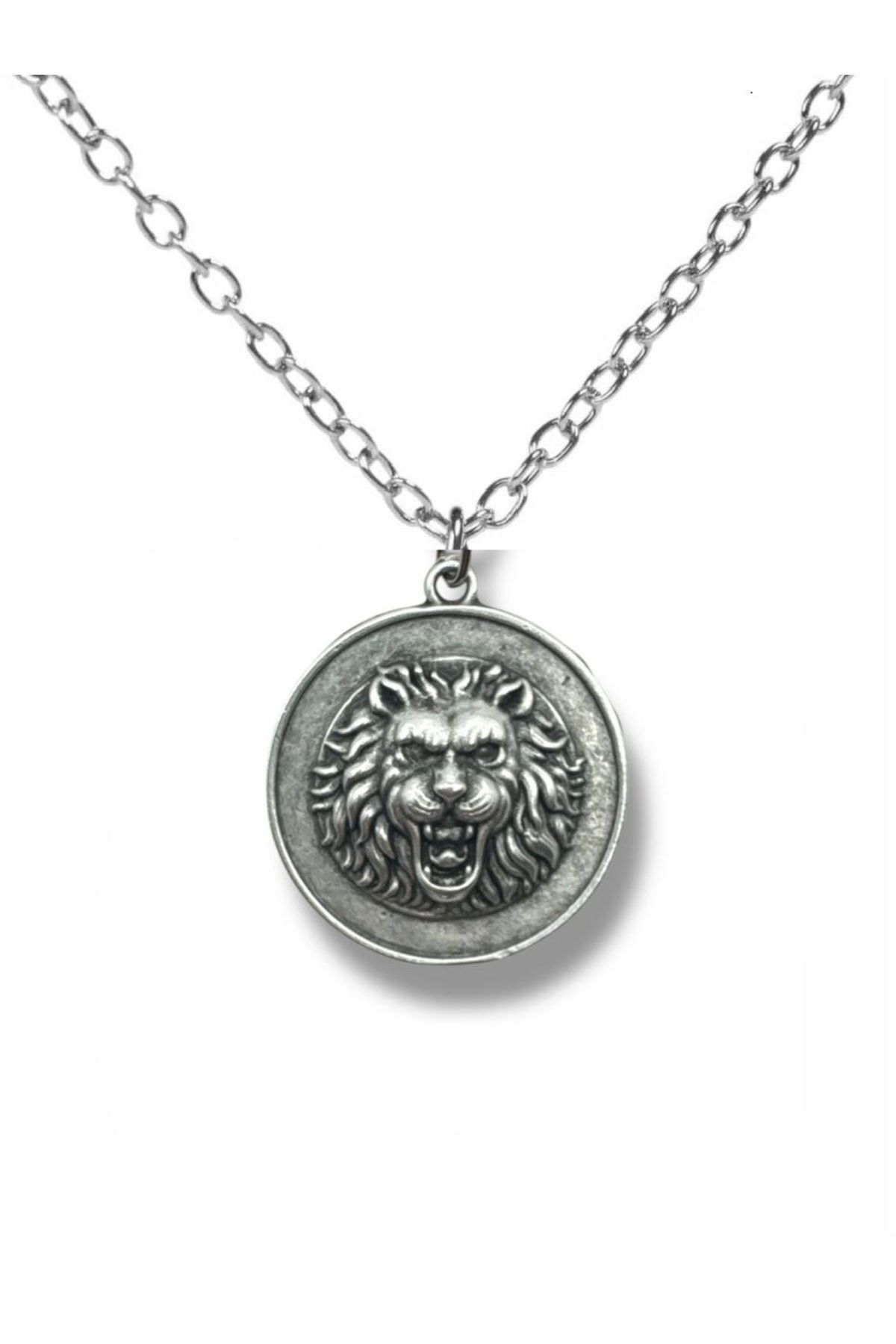 Herşey Nota Lion’s Majesty – Aslan Madalyon Figürlü Unisex Kolye (60 cm Zincirli)