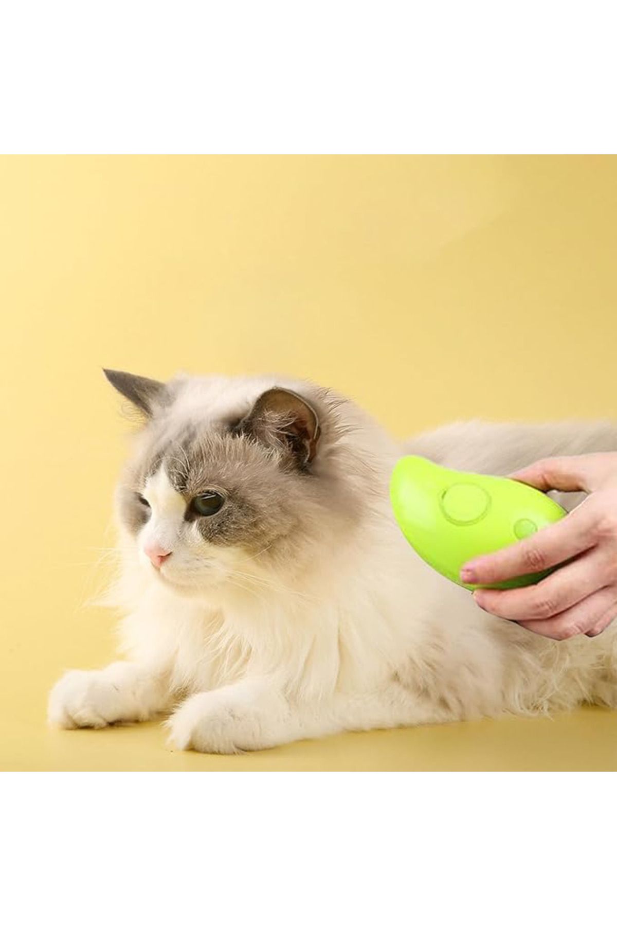 TTT Buharlı Kedi Tarağı