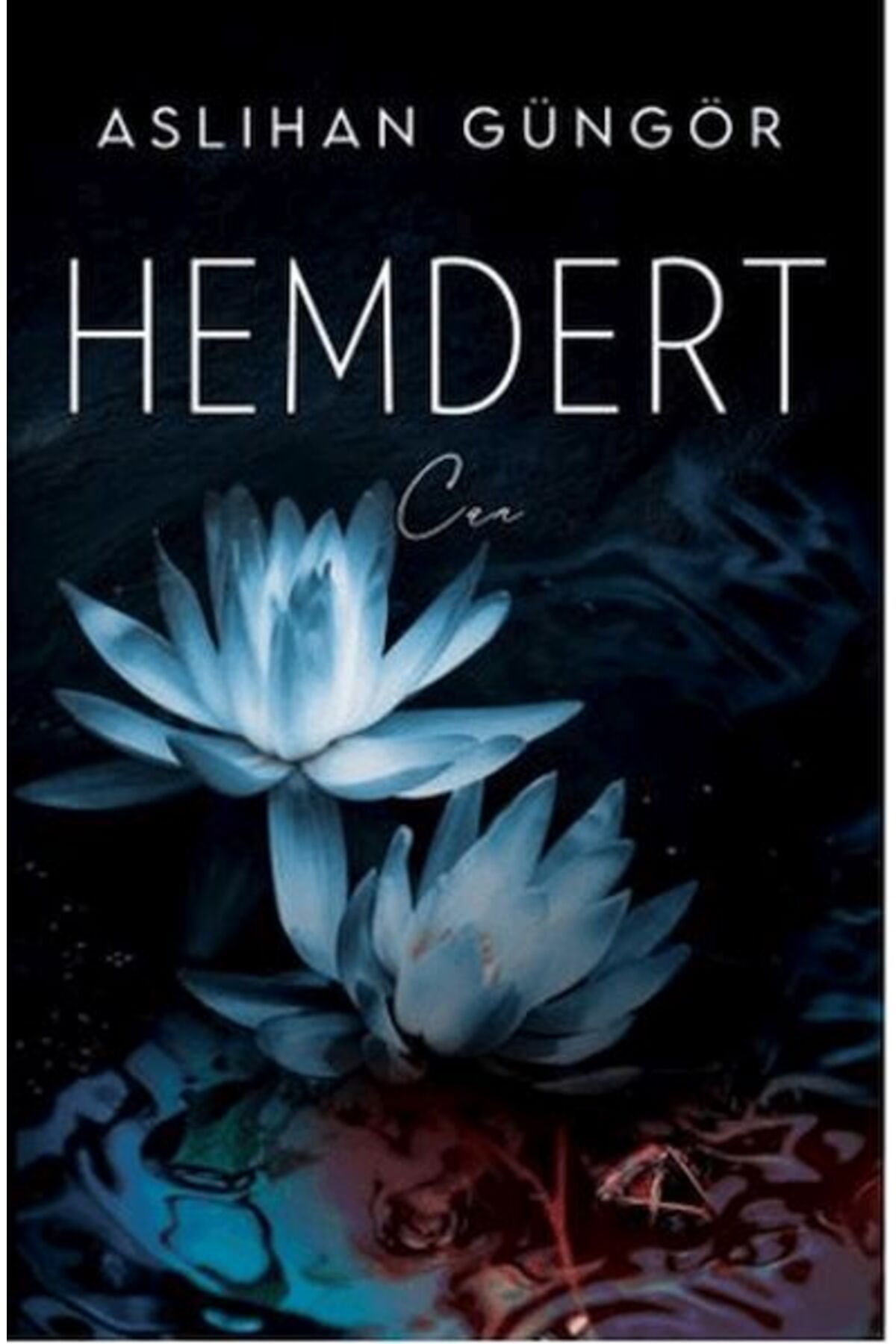 Destek Yayınları Hemdert Can Ciltli