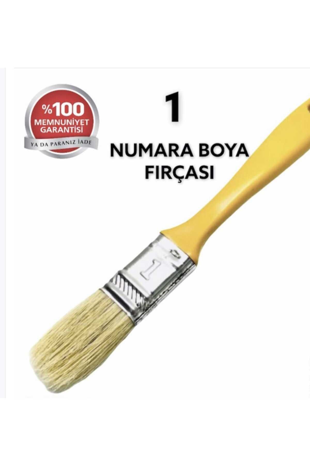 Defne KESTİRME FIRÇA 1 NO