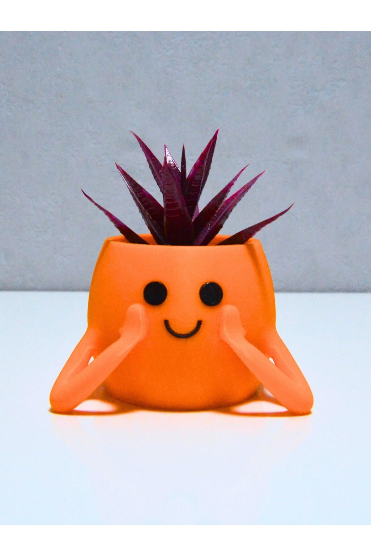 rmys 3D Neşeli Mini Saksı- Turuncu